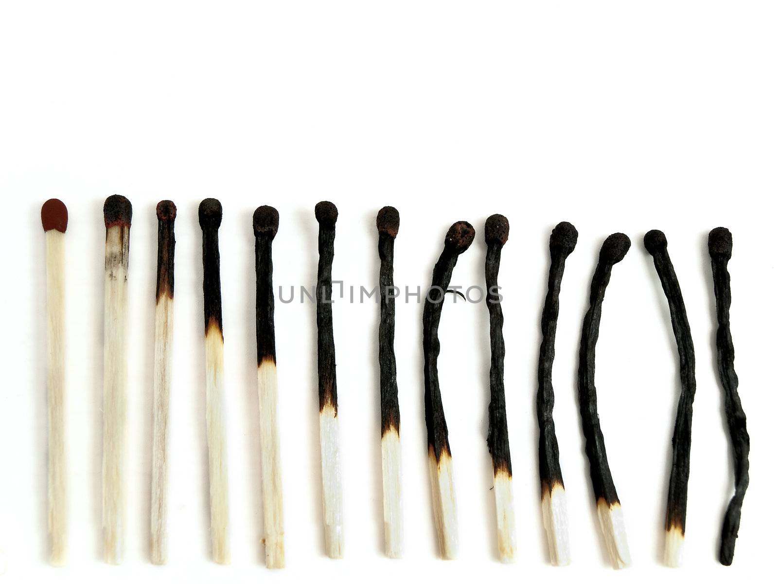 row of burned-out matches over the white background