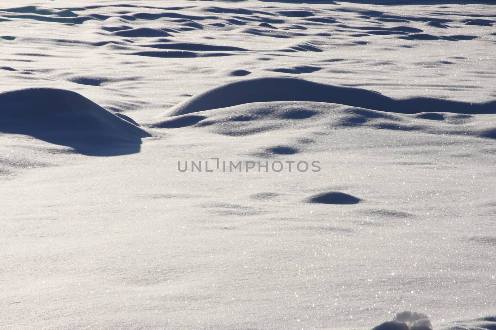 Snow Field.  Photo taken in the Mount Hood National Forest, OR. by sandsphoto
