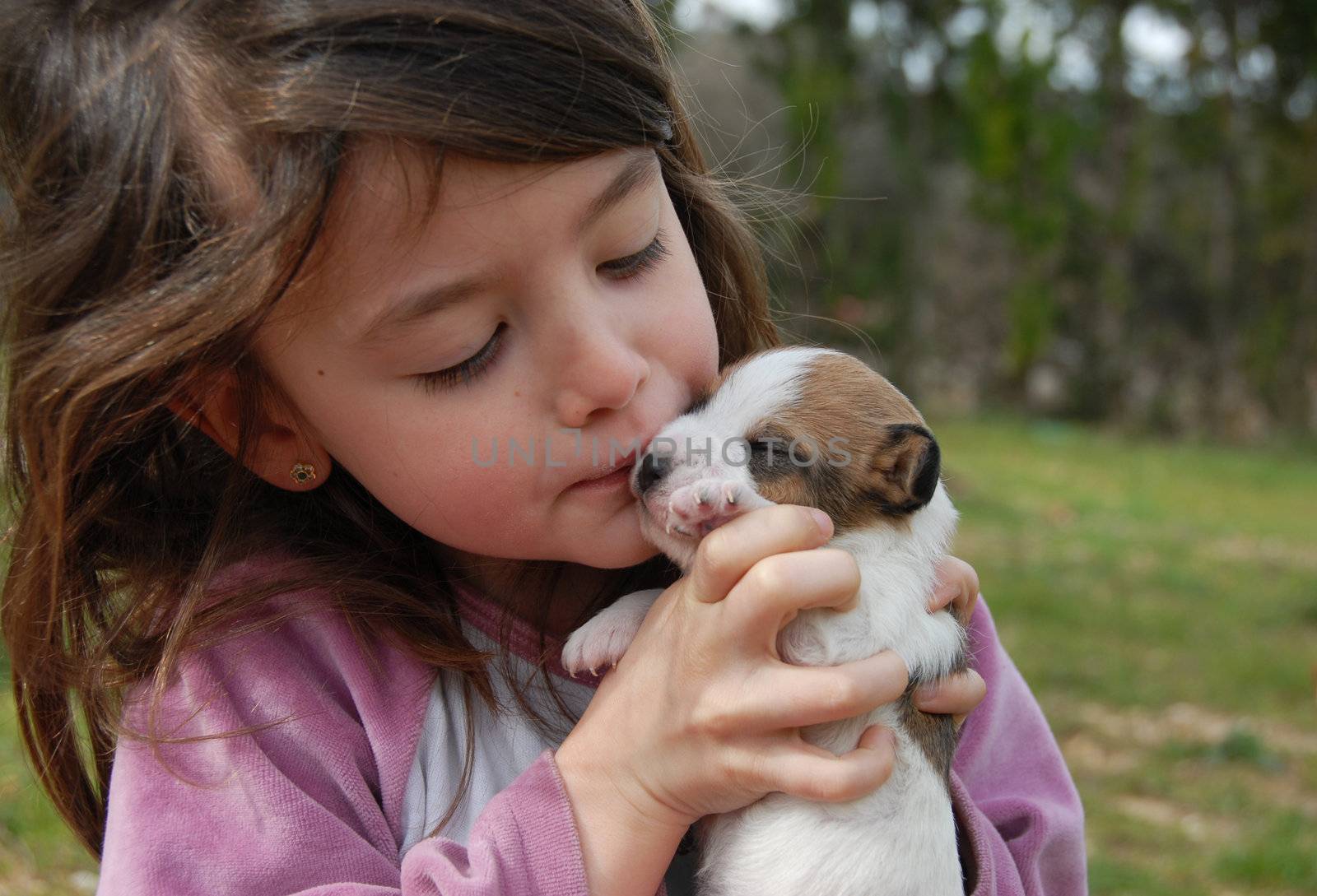 little girl and her very young puppy purebred jack russel terrier