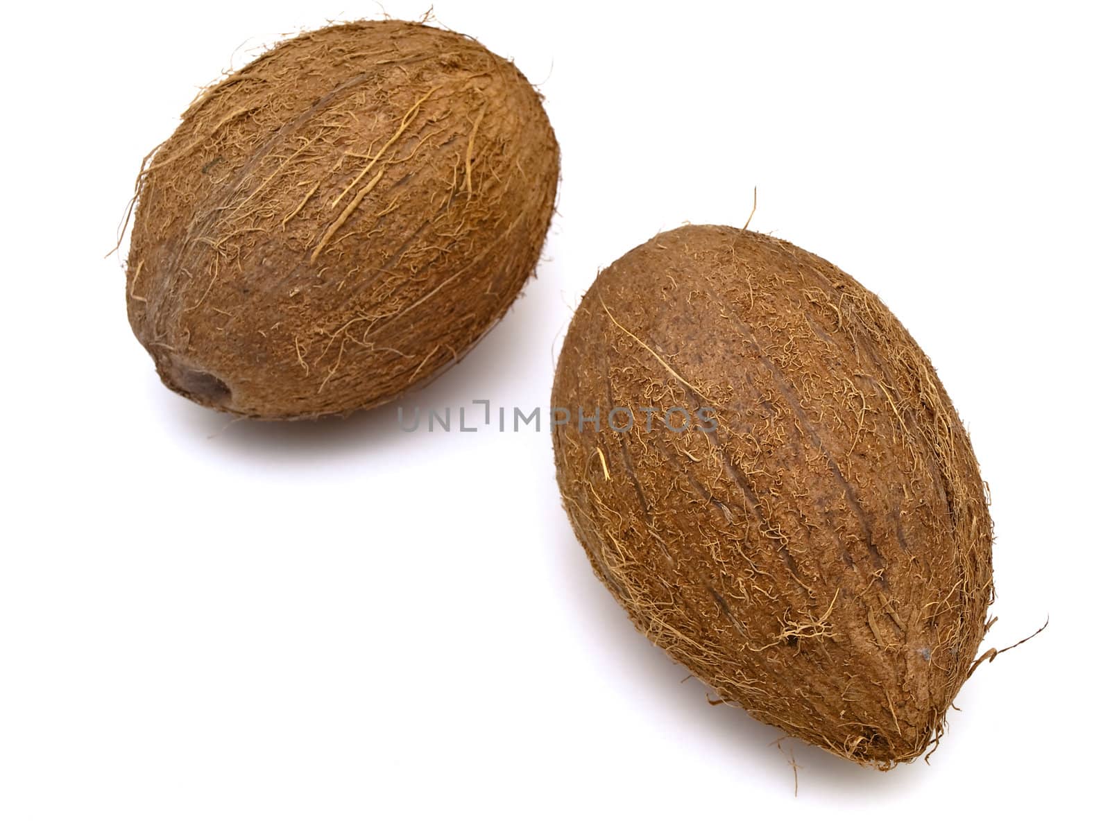 Photo of the coconut against the white background