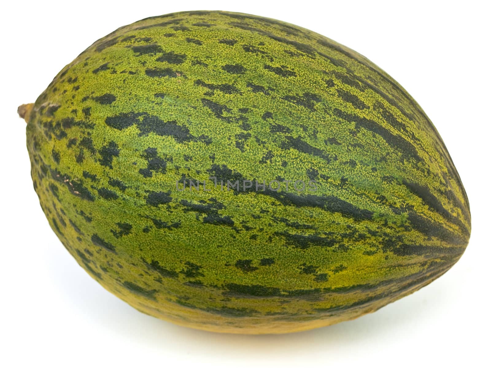 Photo of the green melon against the white background