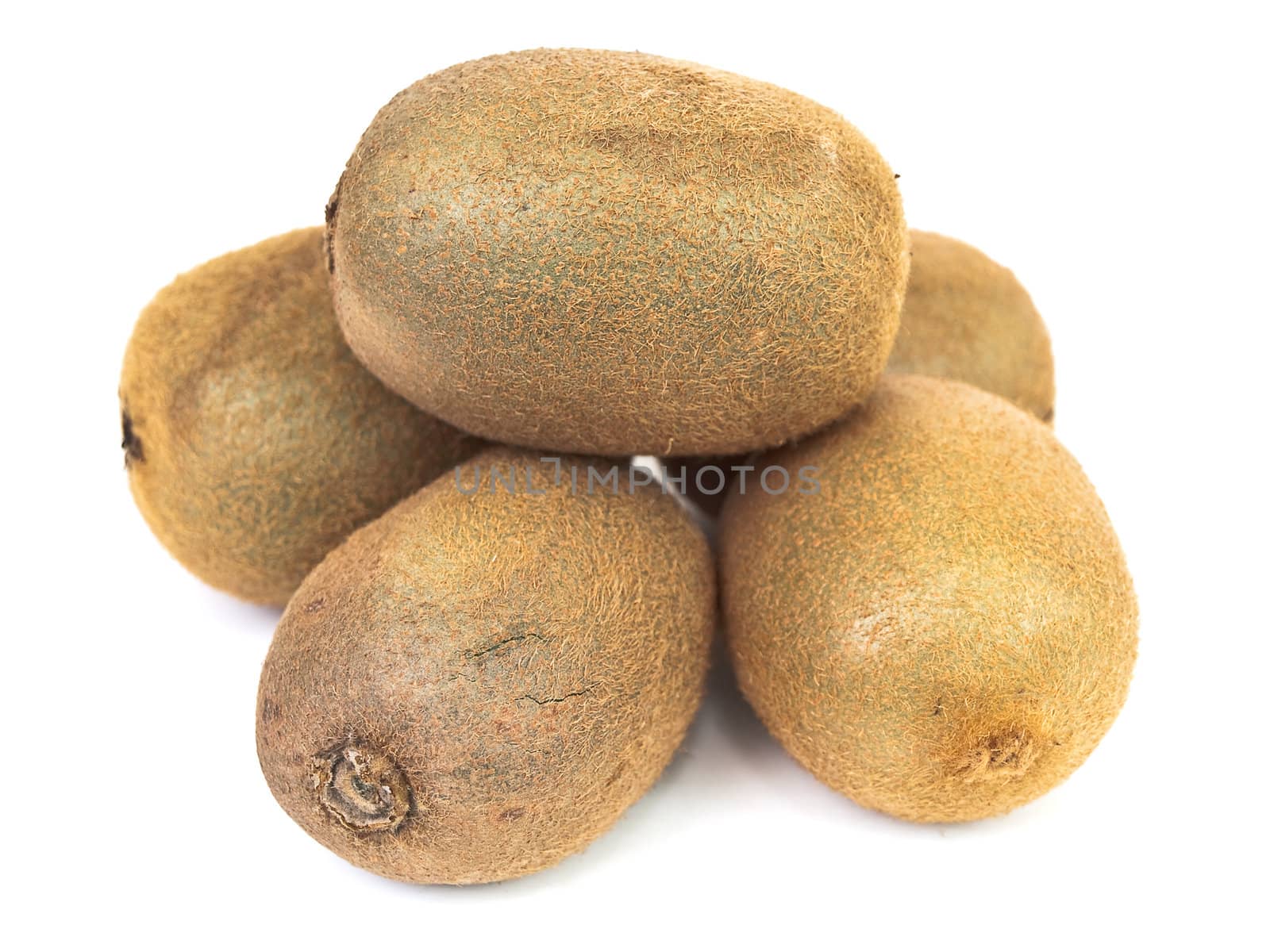 Photo of the kiwi against the white background