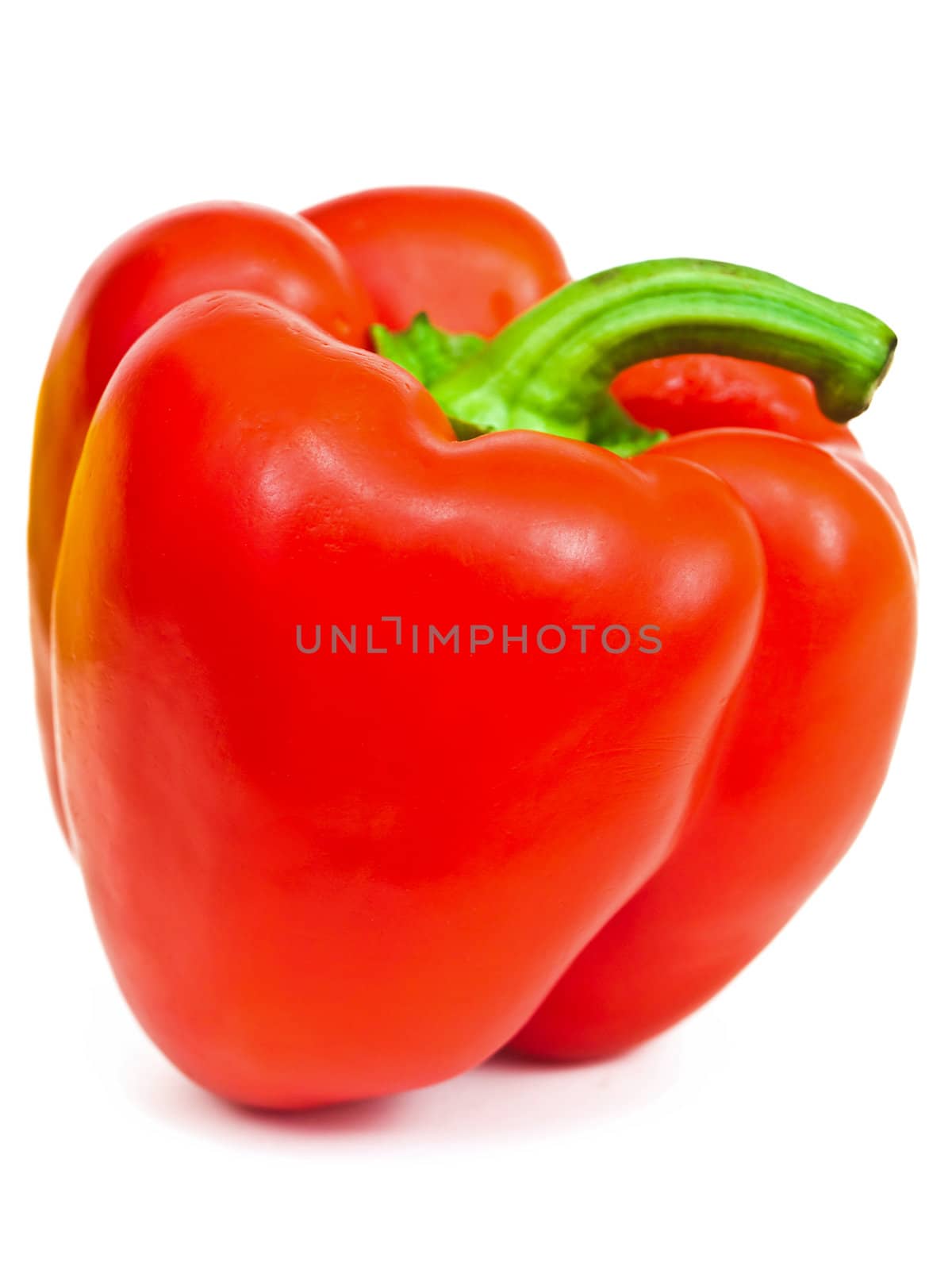 Photo of the single red paprika against the white background