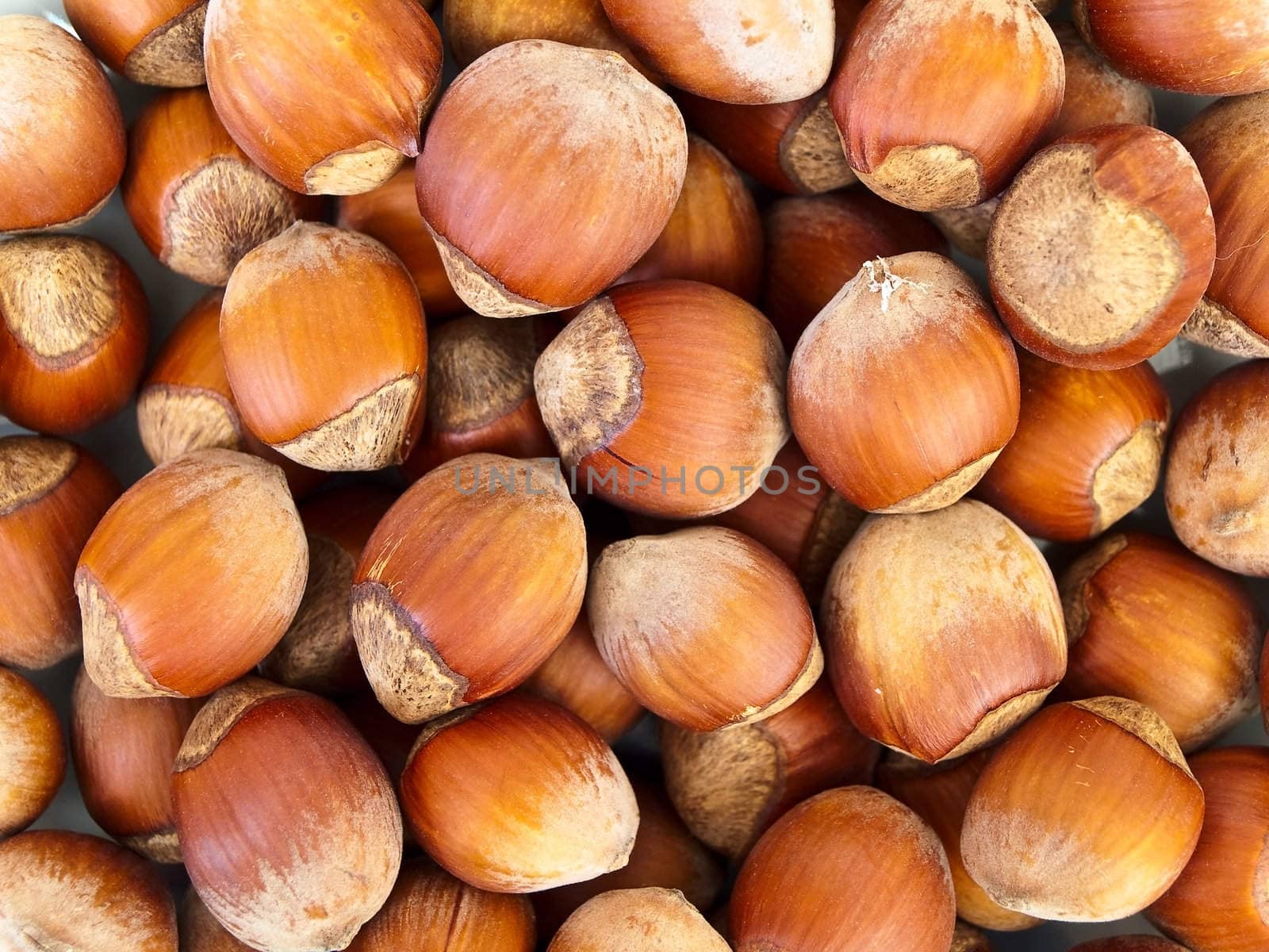 Photo of the hazelnut background