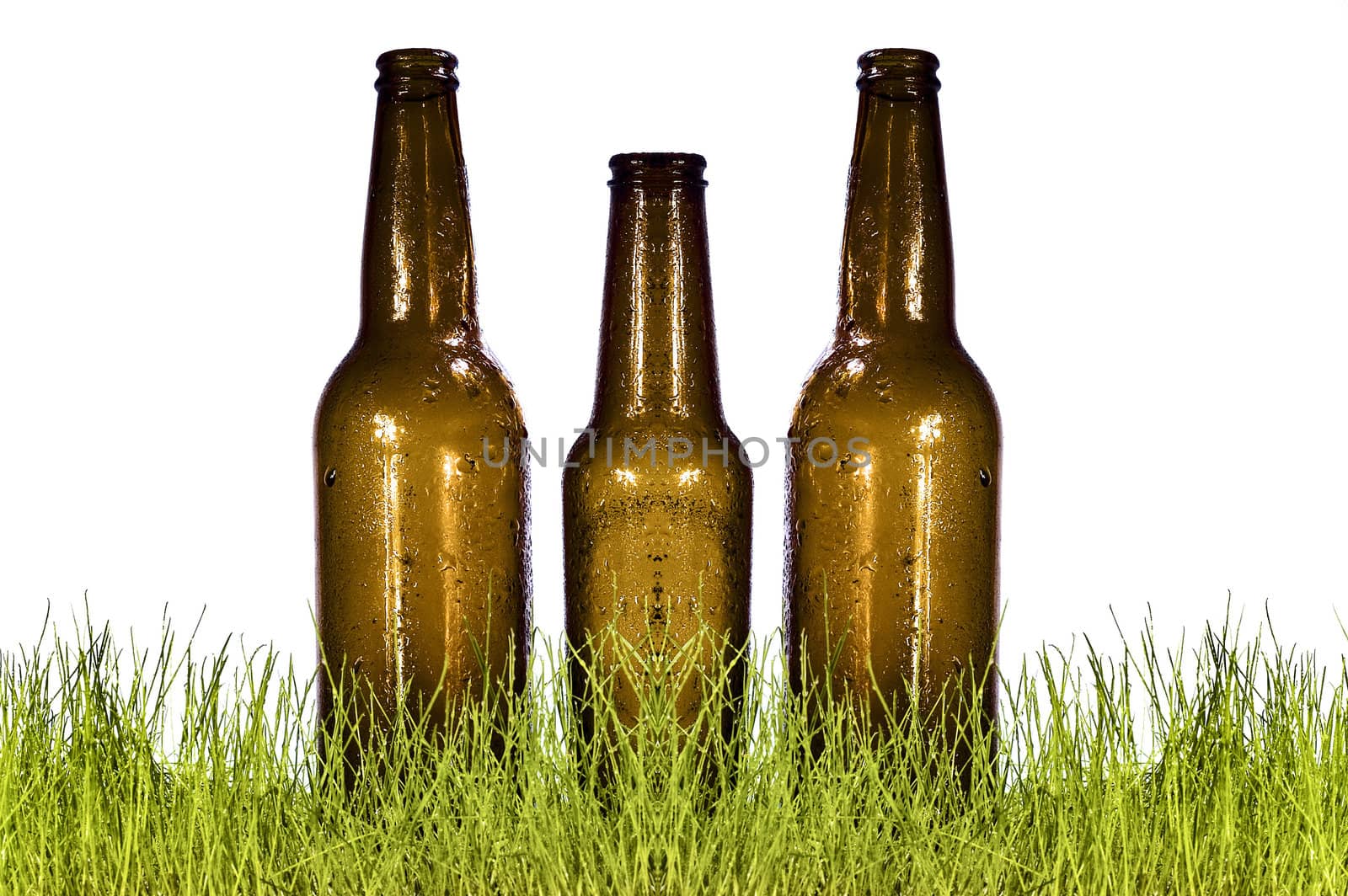 bottle in grass by Baltus