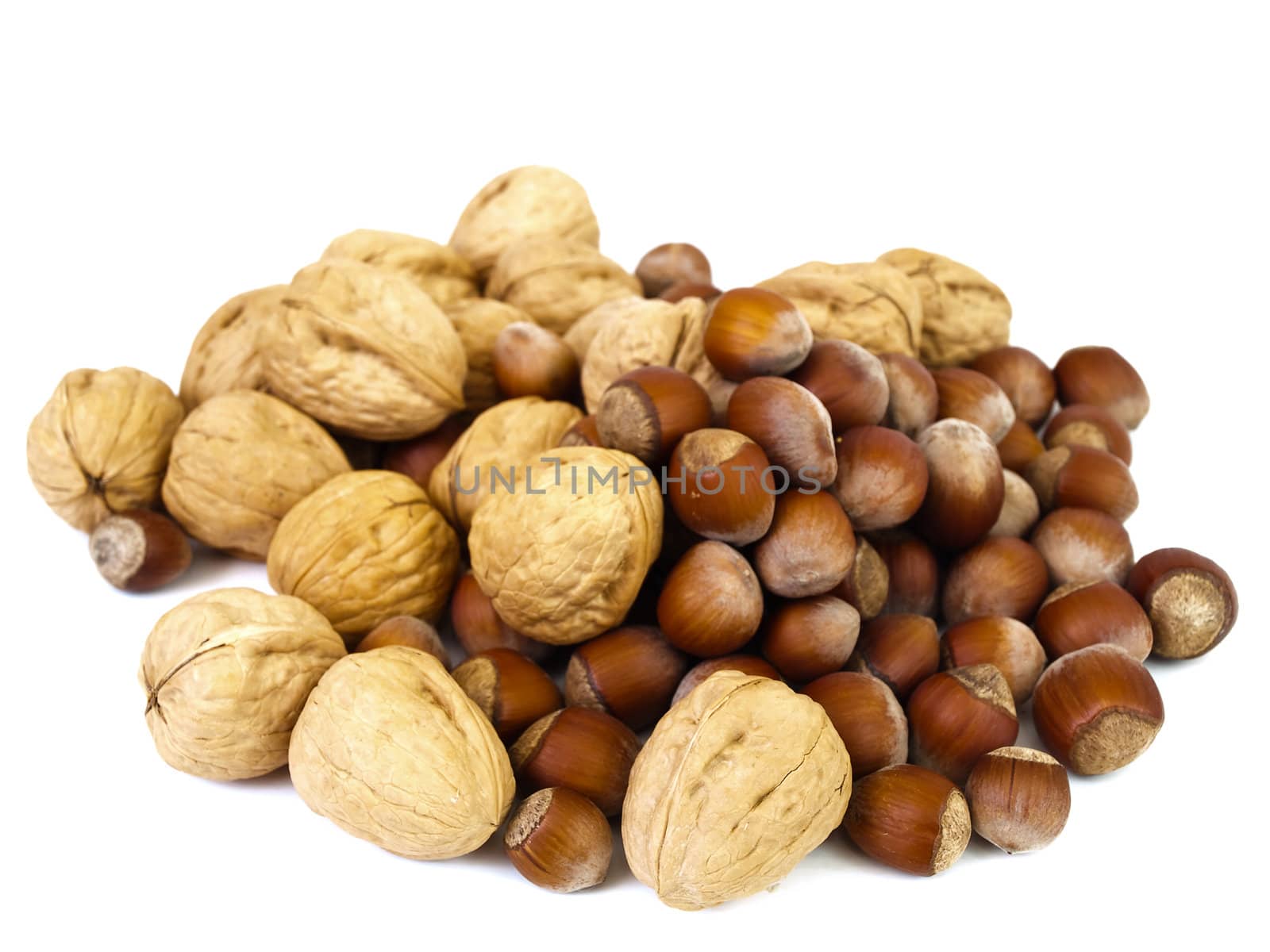 Photo of the hazelnuts and walnut against the white background