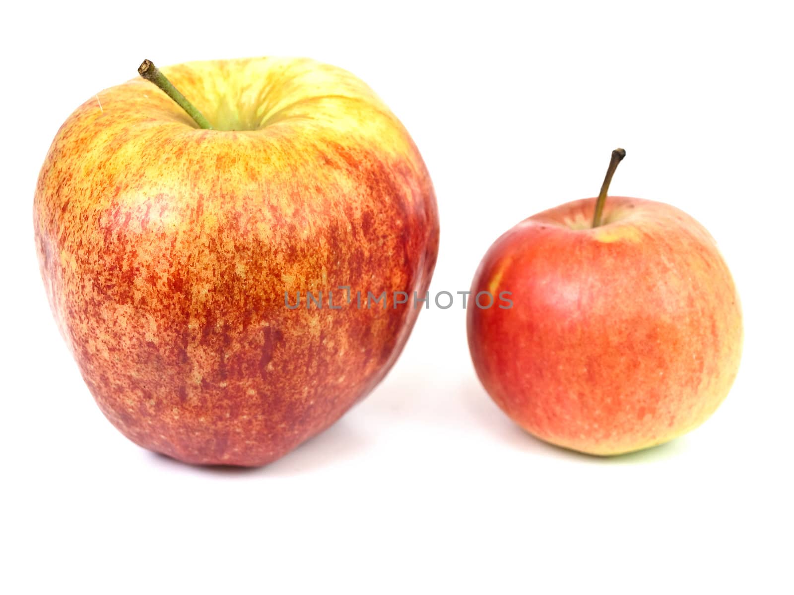 Photo of the apples against the white background