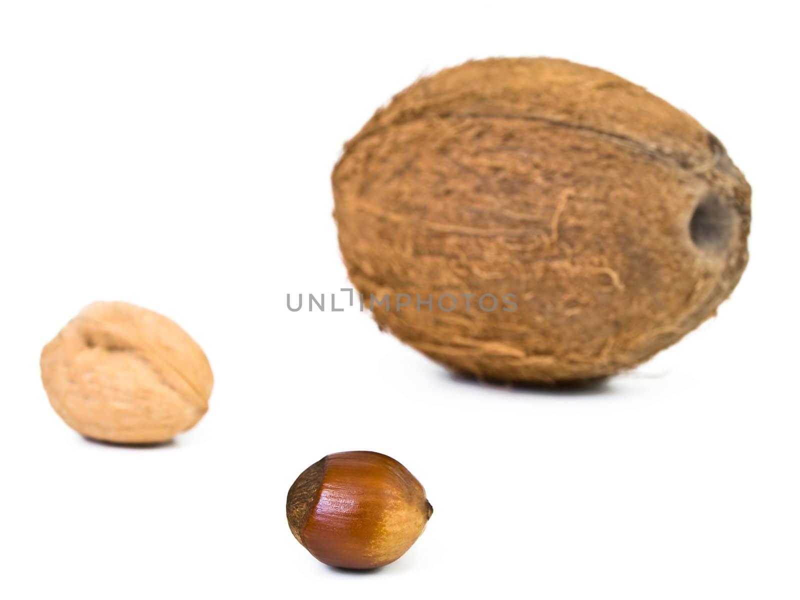 different nuts against the white background