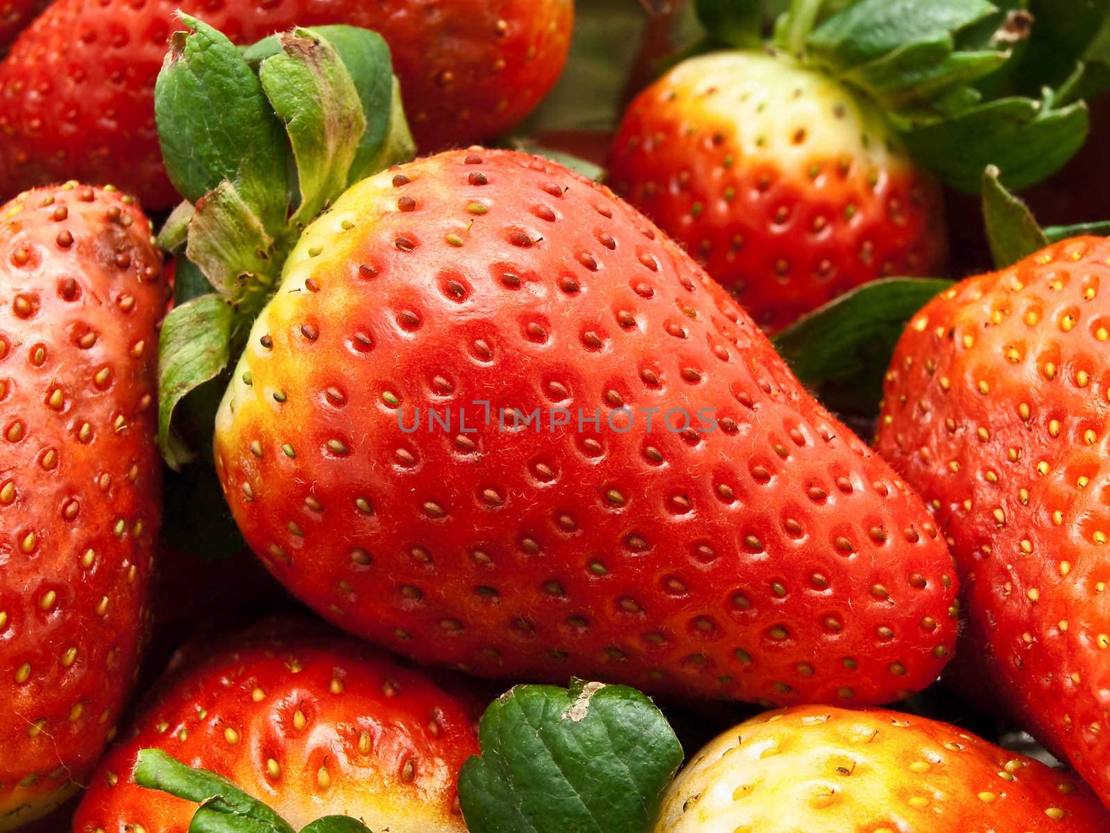 photo of the delicious red garden strawberry