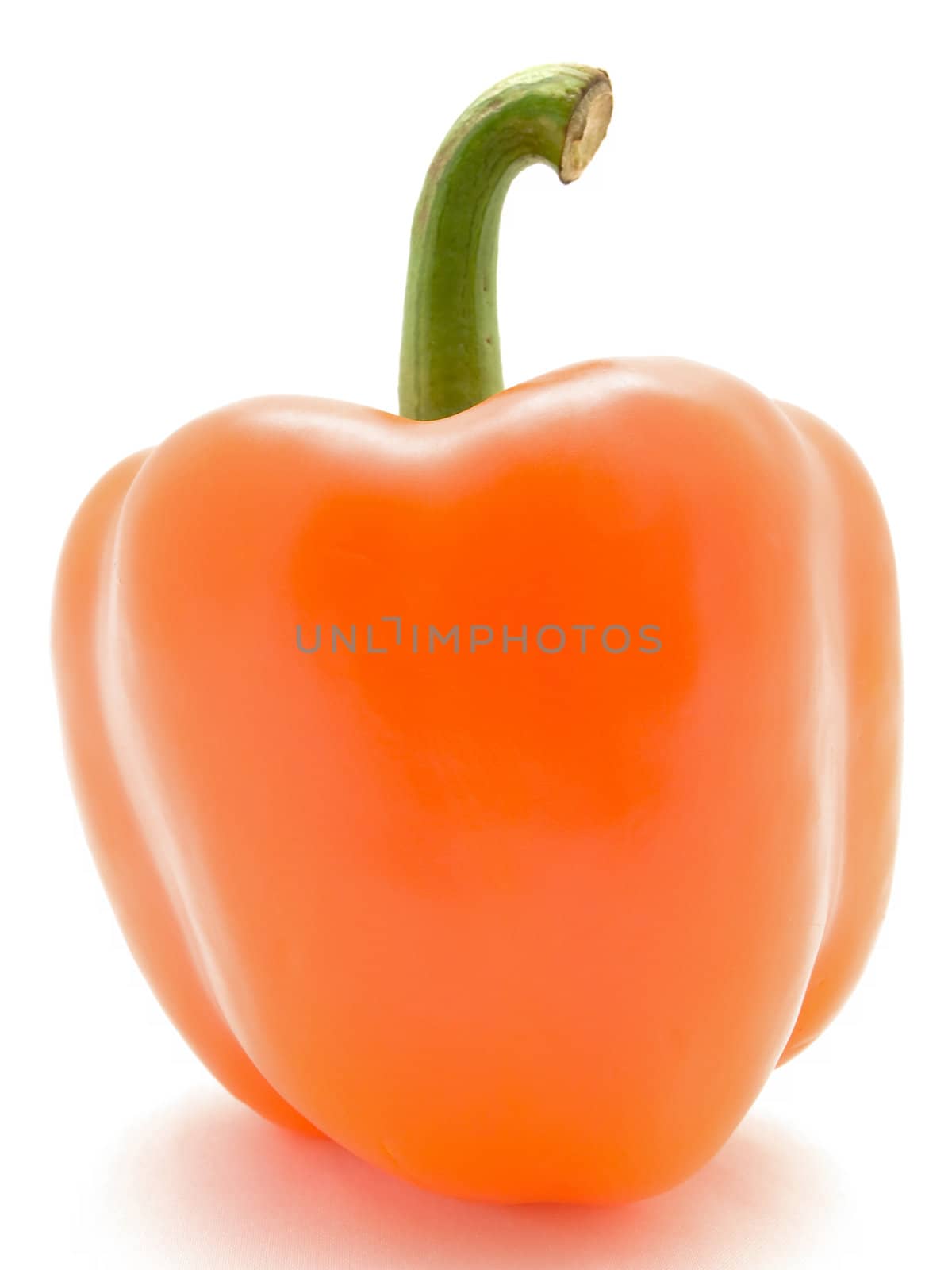 Photo of the single orange paprika against the white background