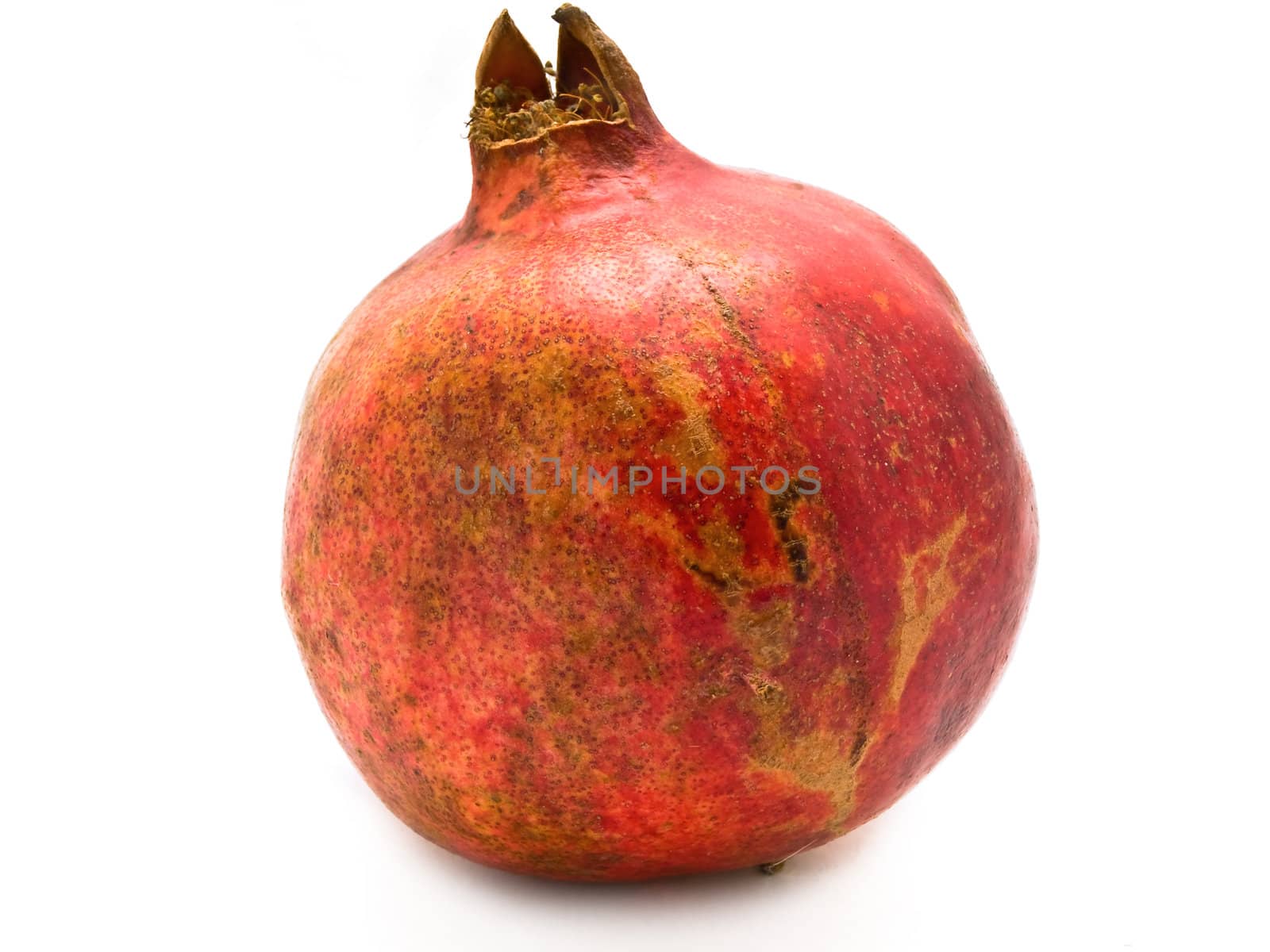 single red pomegranate over the white background
