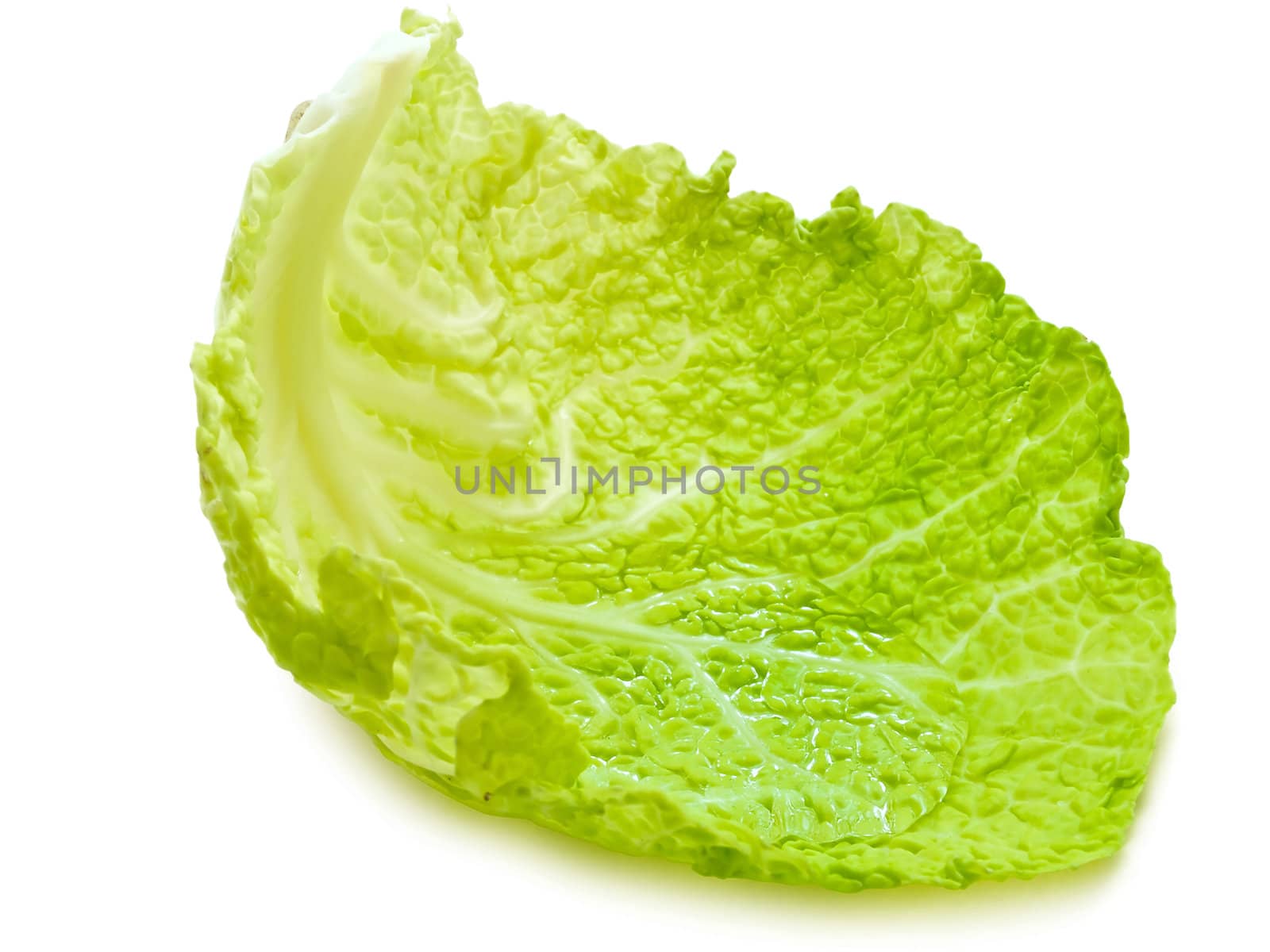 cabbage leaf with clear water inside