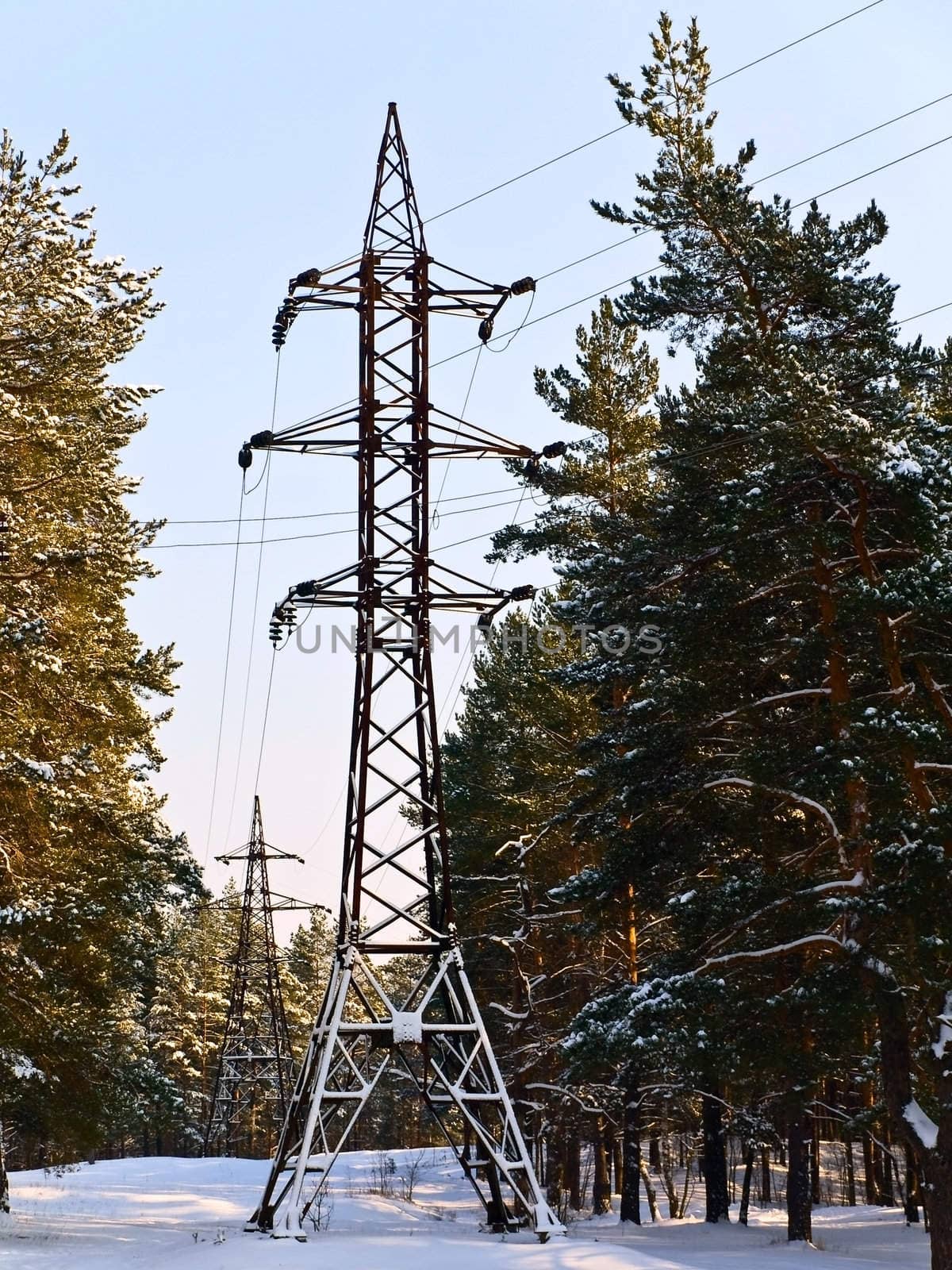 electricity station in the winter forest