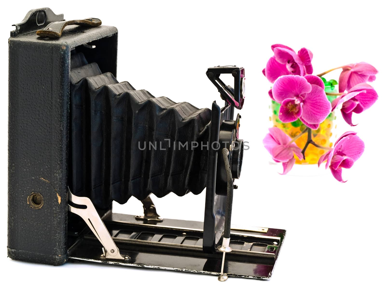 old photo camera against white background with pink orchid flower
