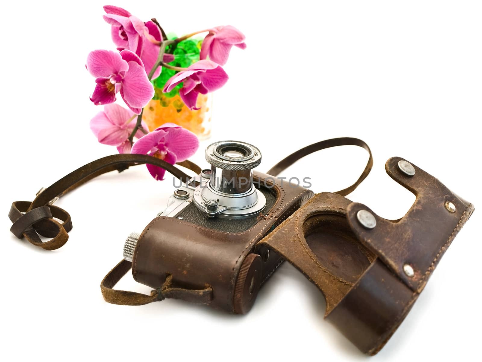 old photocamera and pink orchid over the white background