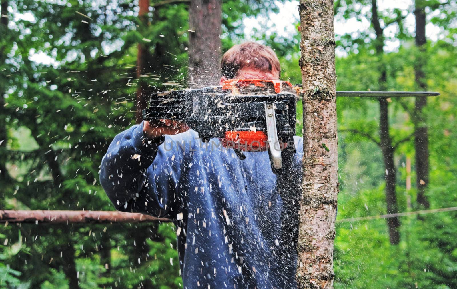 The young man saws a tree
