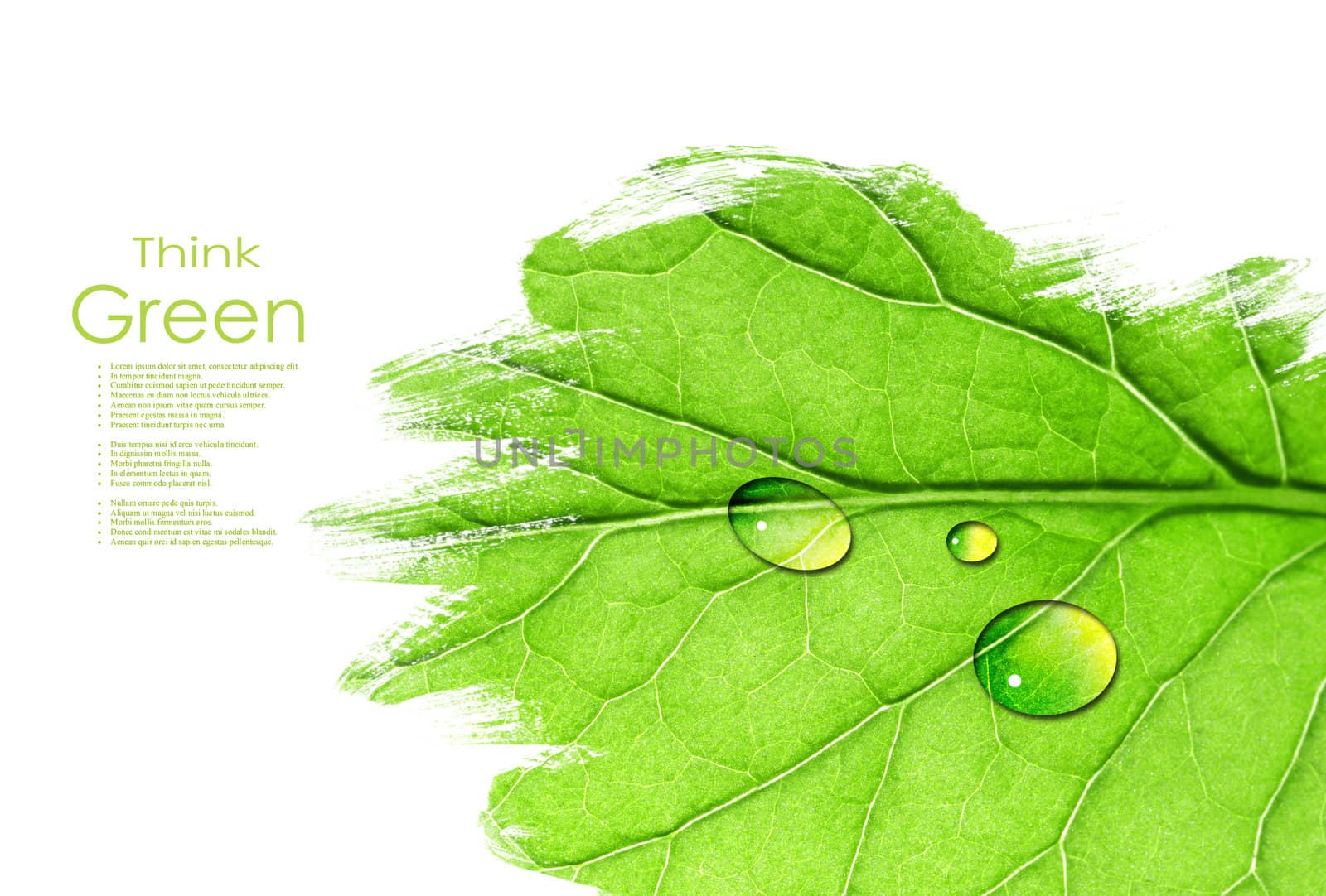 Leaf background with space for text