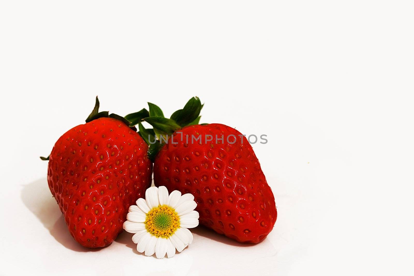 Strawbarry with camomile on a white background