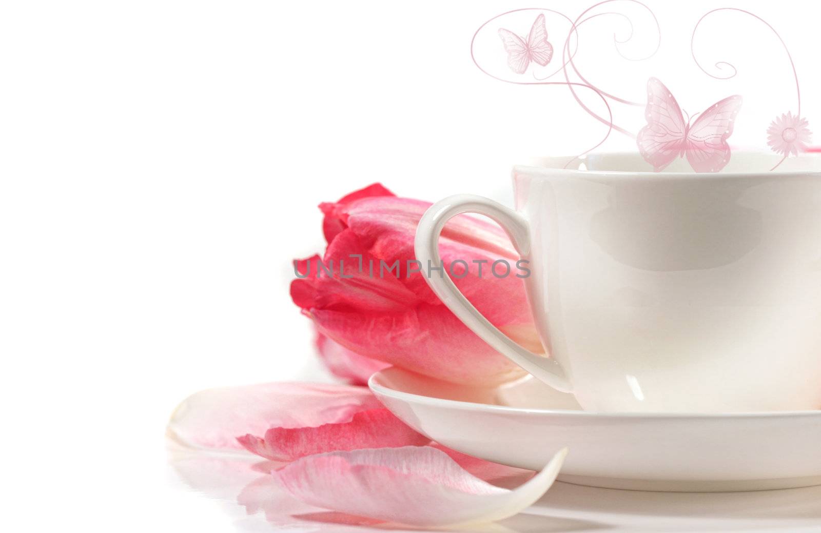 Porcelain teacup with pink tulips on white background