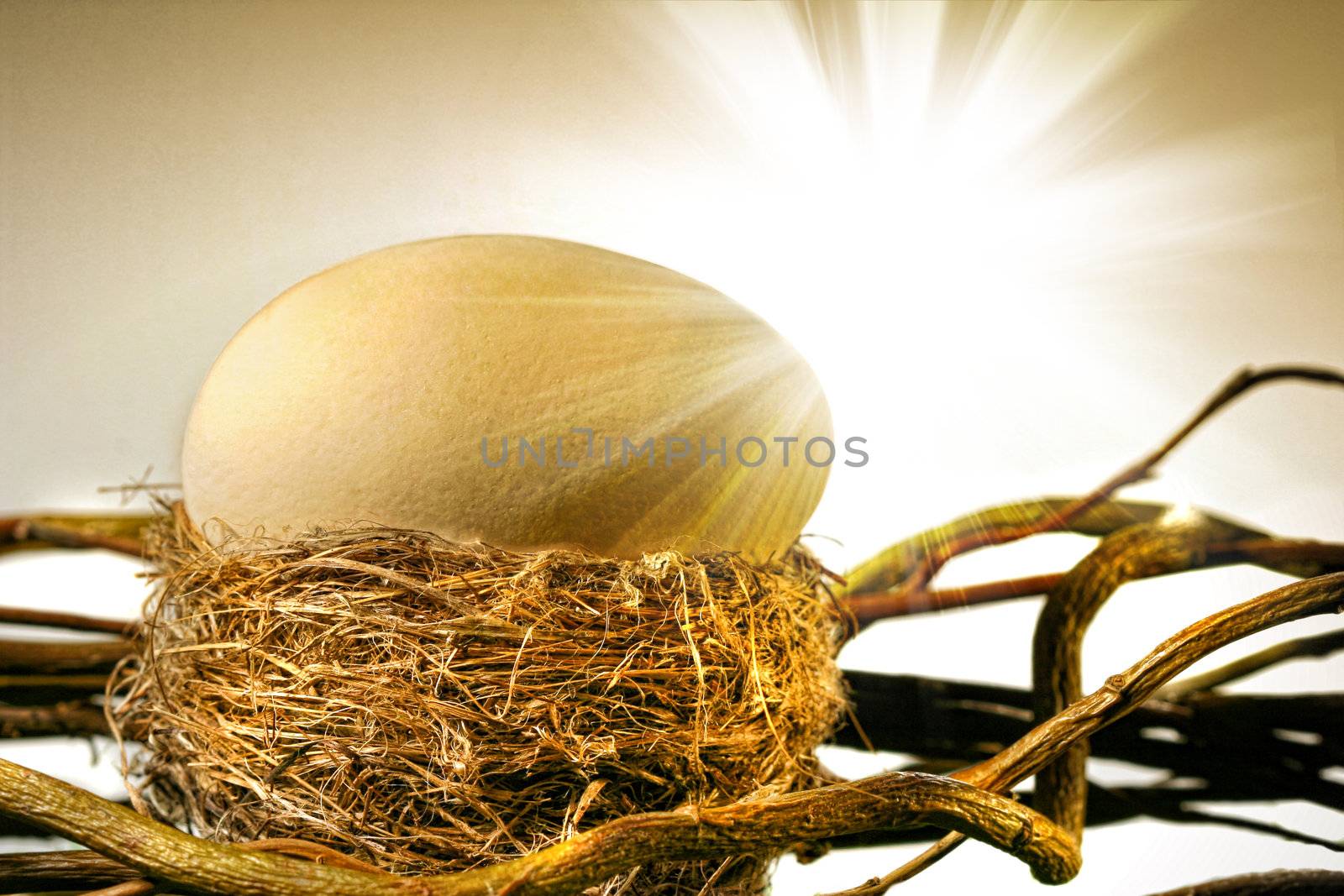 Big golden egg in  bird's nest