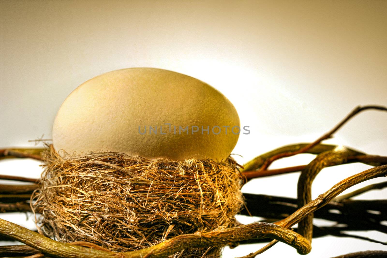 Big golden egg in  bird's nest