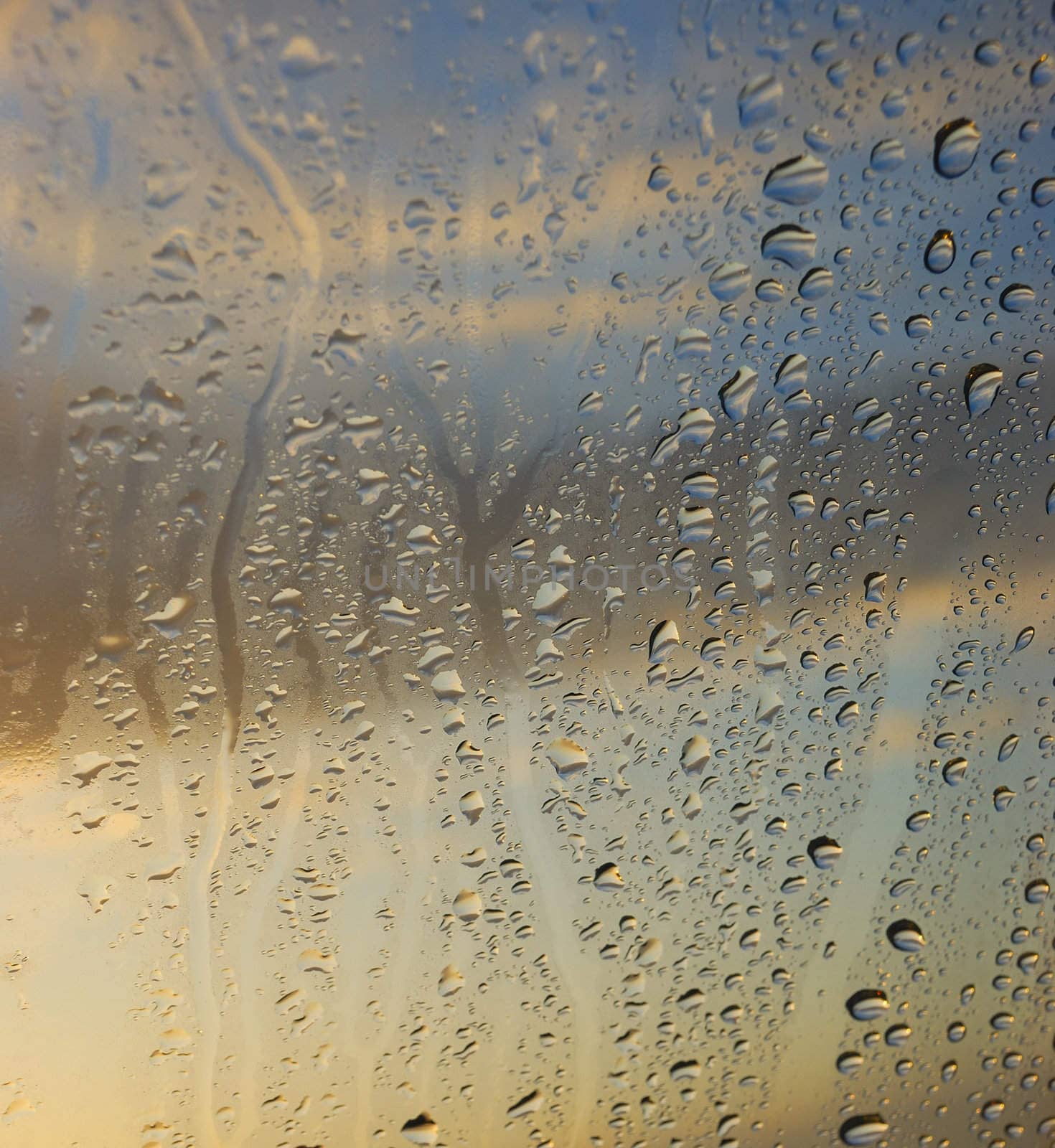 Condensation on the window