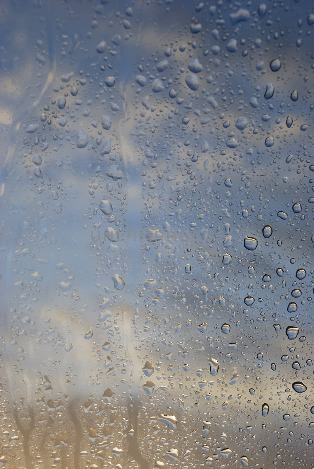 Condensation on the window