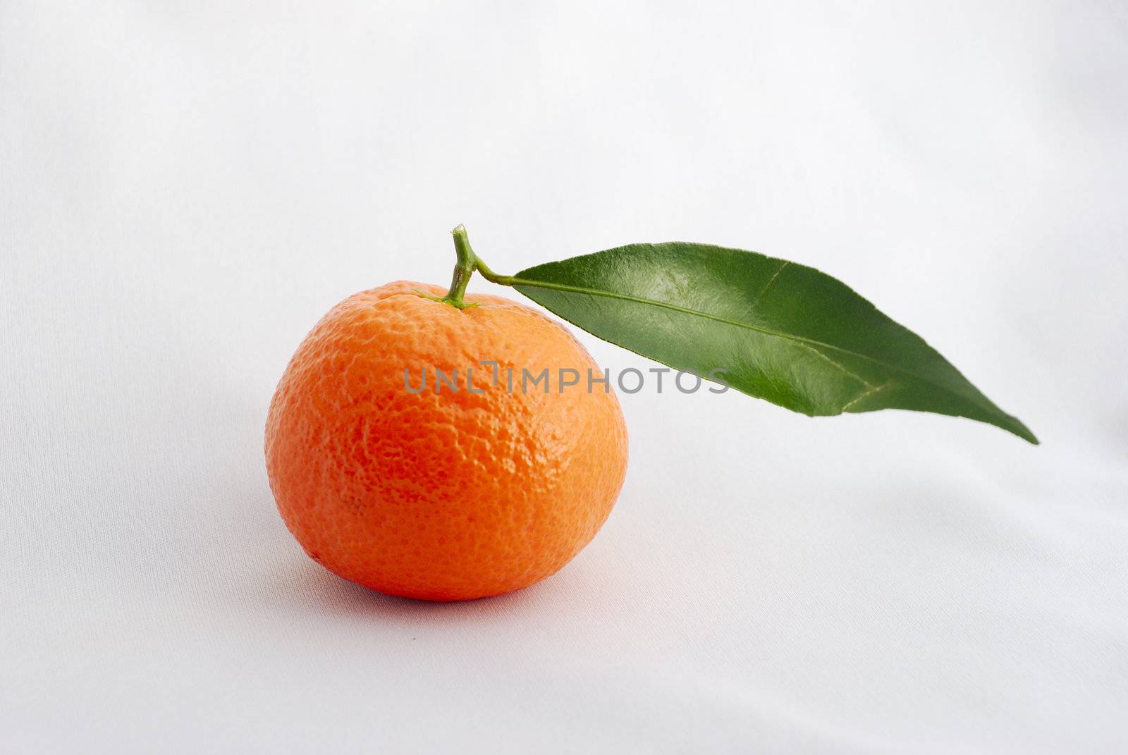 Clementine orange