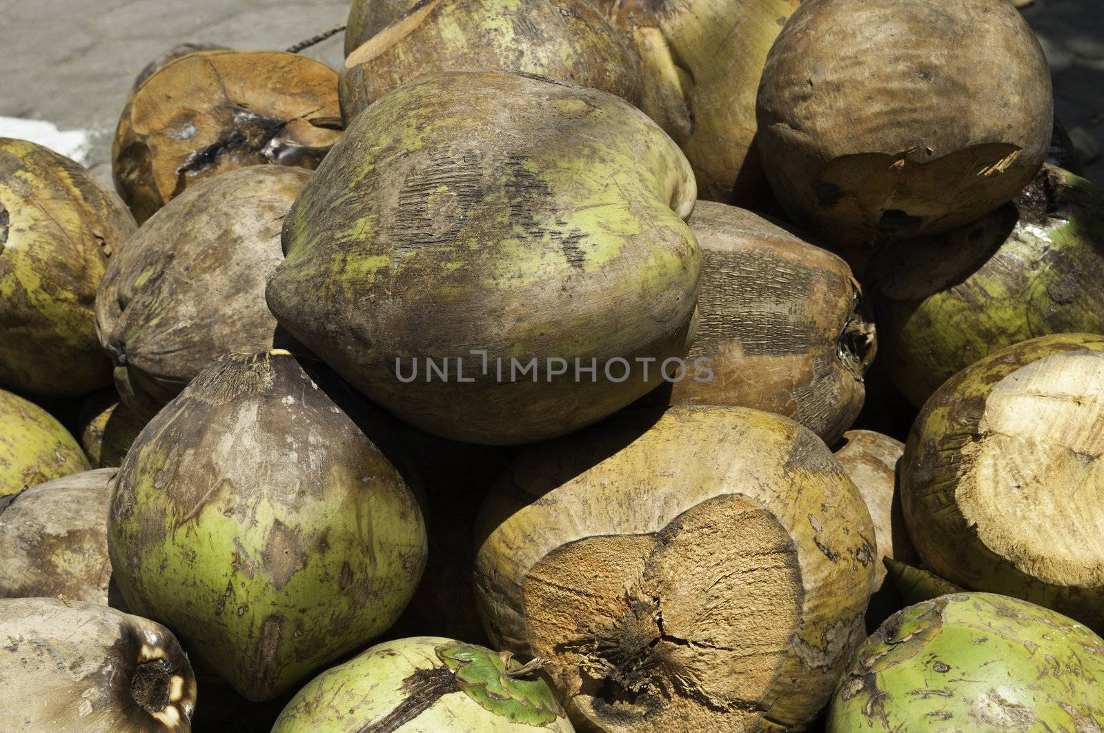 Group of indonesian coconuts by the street