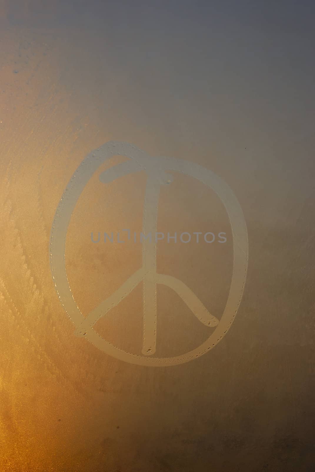 Condensation on the window