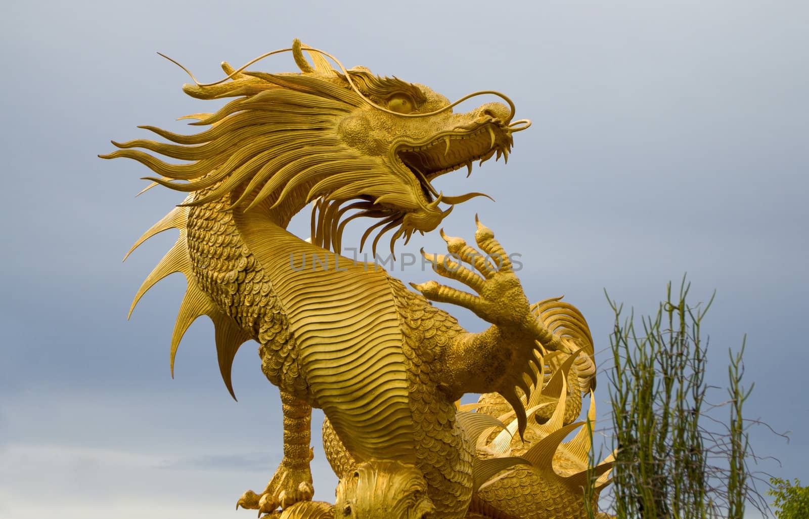 Golden dragon statue in pattaya,Thailand