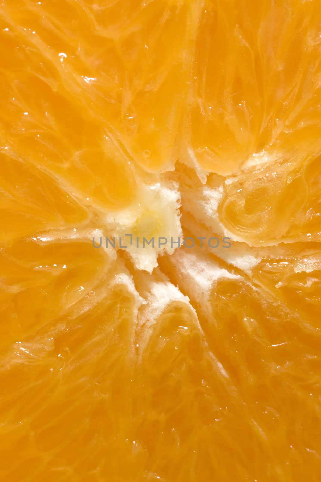 Juicy Orange Refreshment on white background