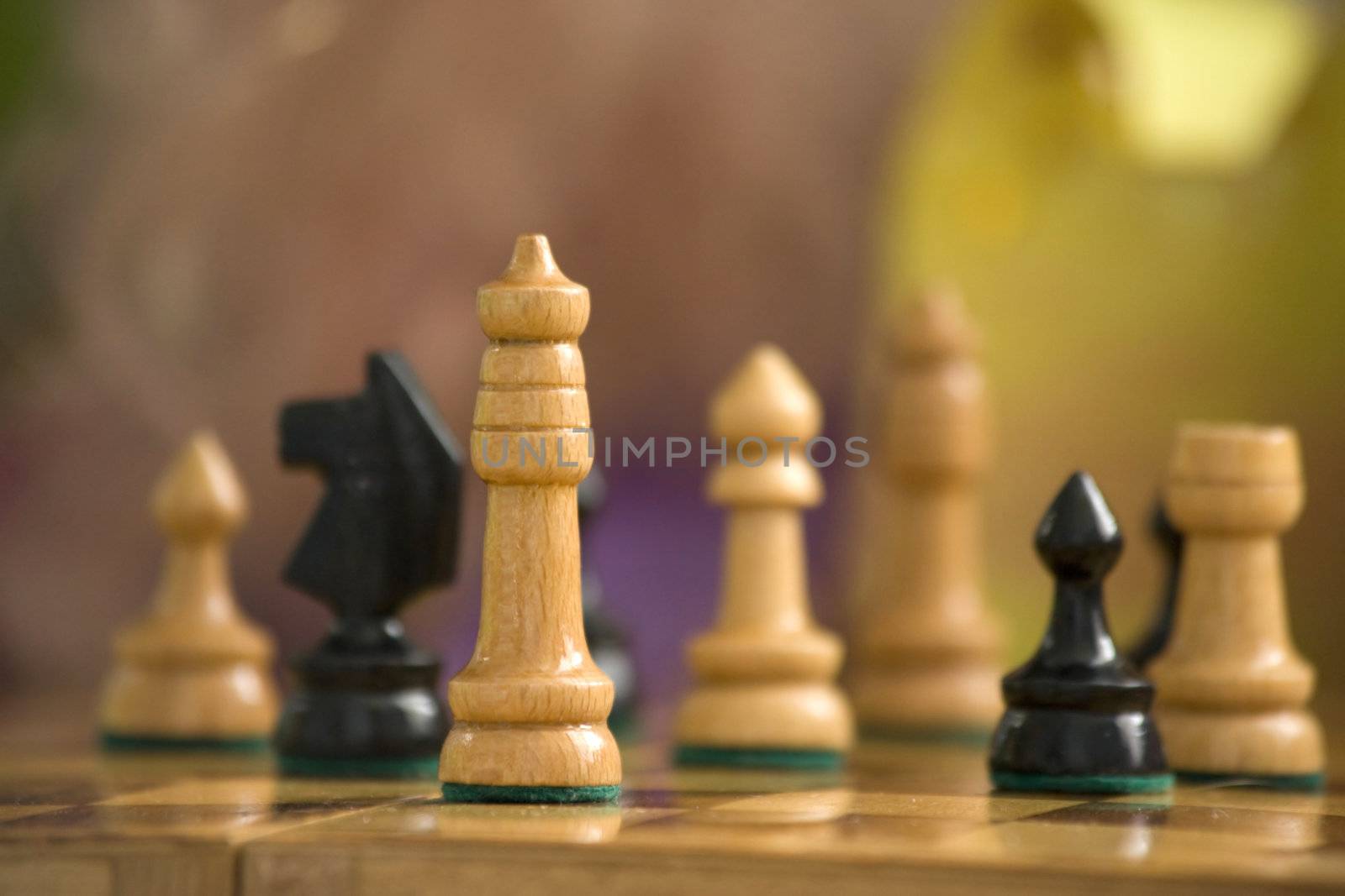 Chess  by abg2000