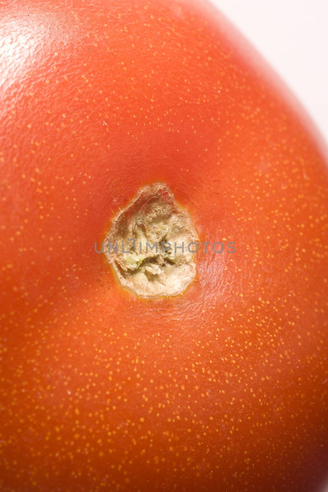 red tomato macro photo isolated with white