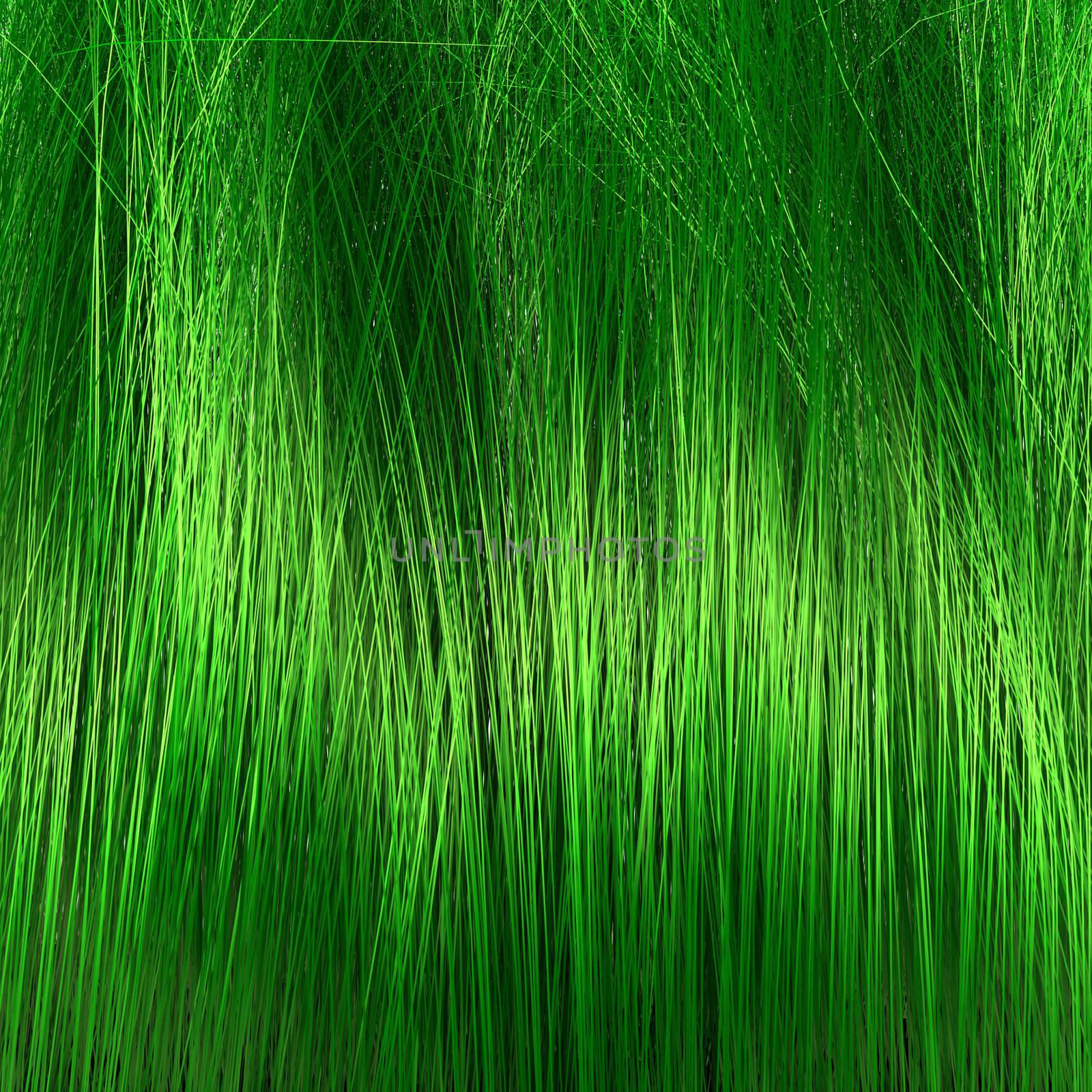 Grass or hair by carloscastilla