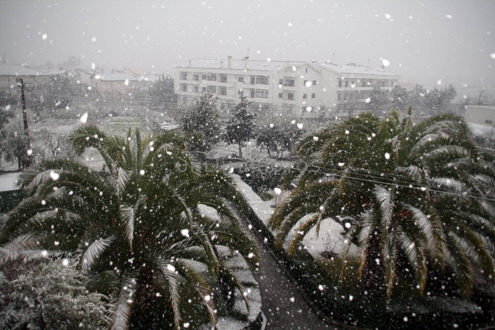 cold winter landscape with snow in viseu