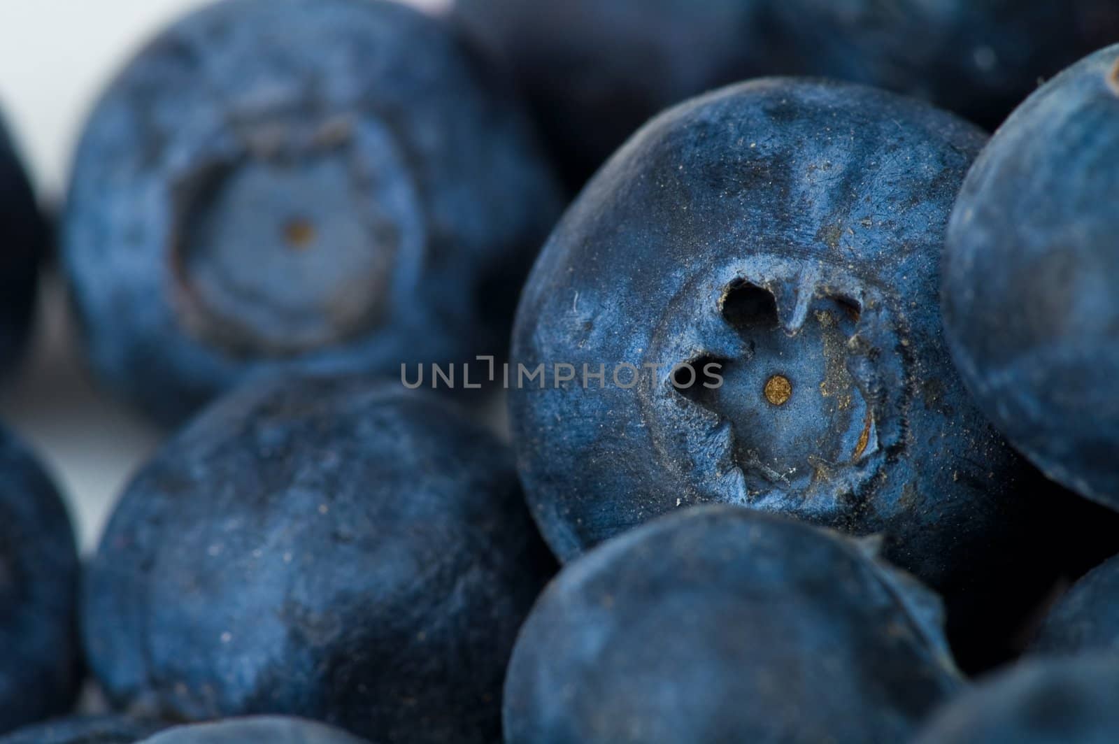 � couple of fresh ripe blueberry close-up 