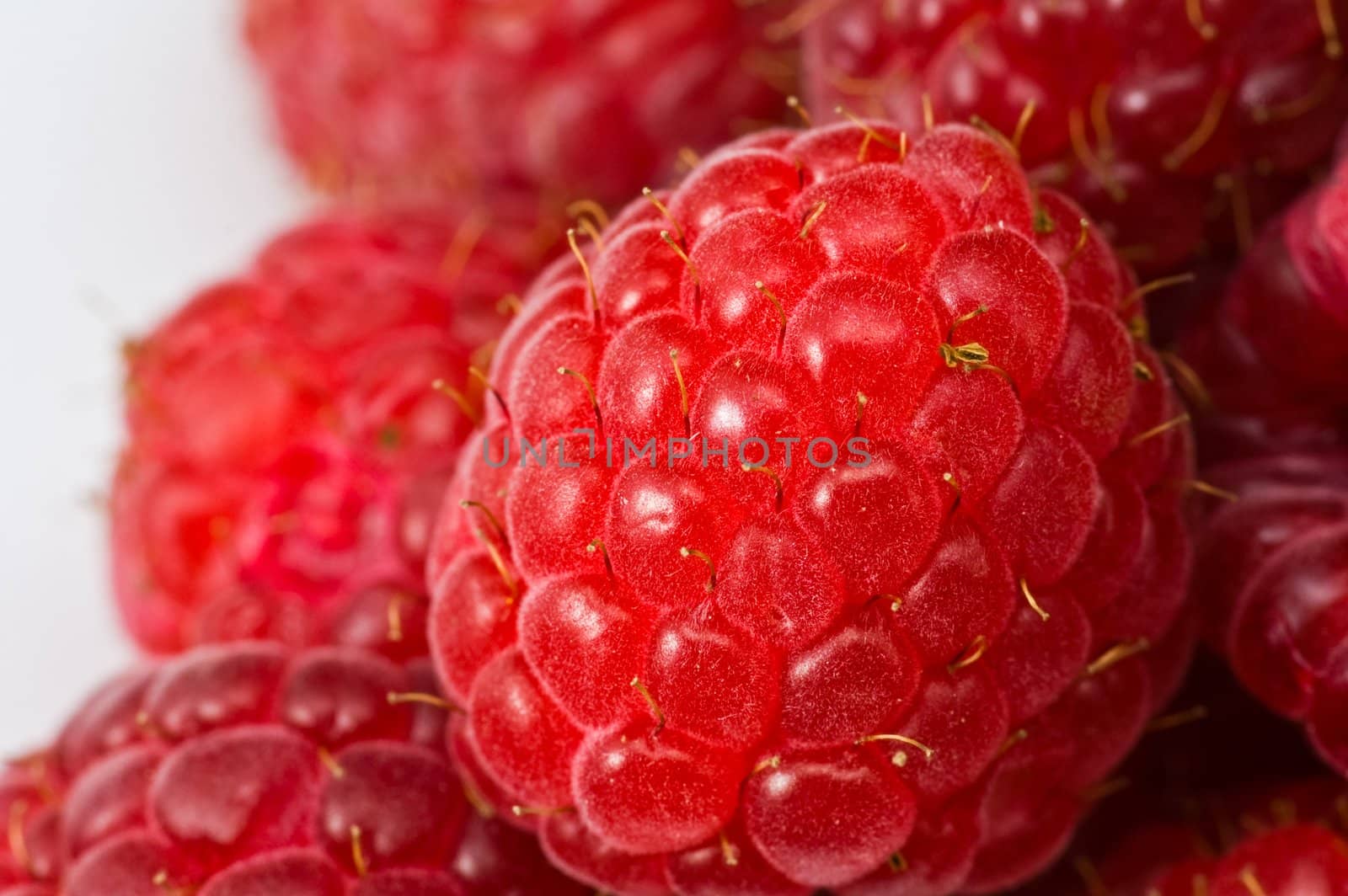 � couple of fresh ripe raspberry close-up 