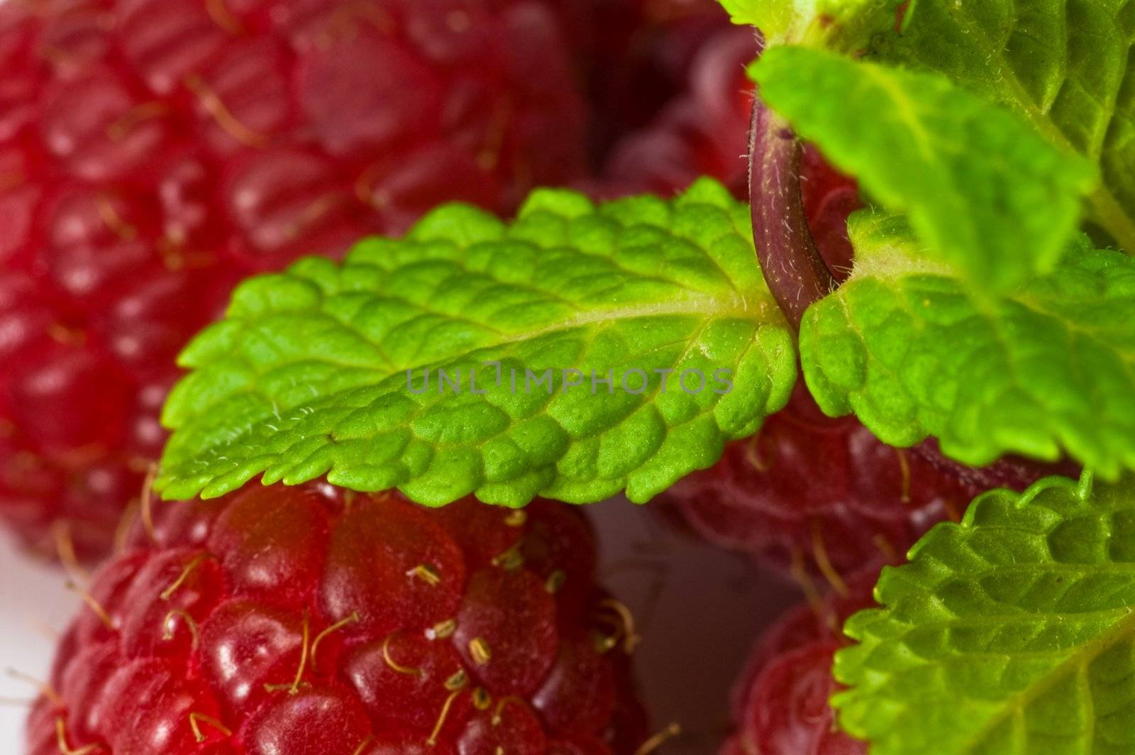 Fresh ripe rasberry and fresh mint leaves close-up