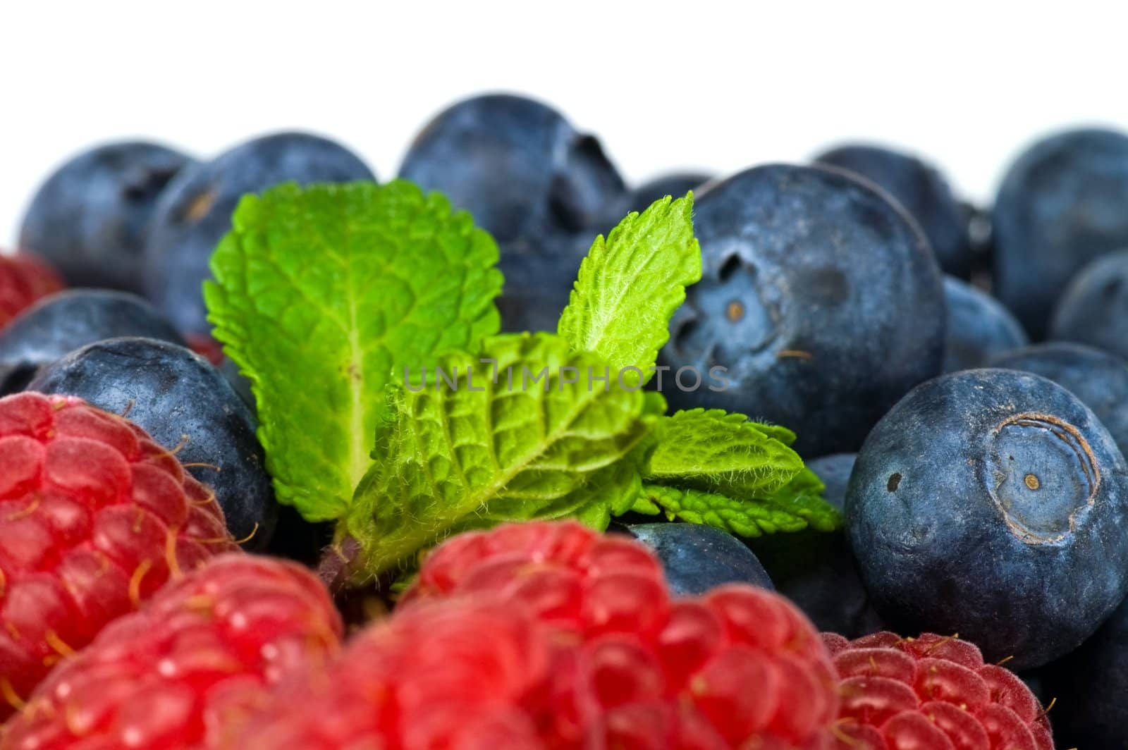 Fresh ripe raspberry and blueberry with green mint leaves 