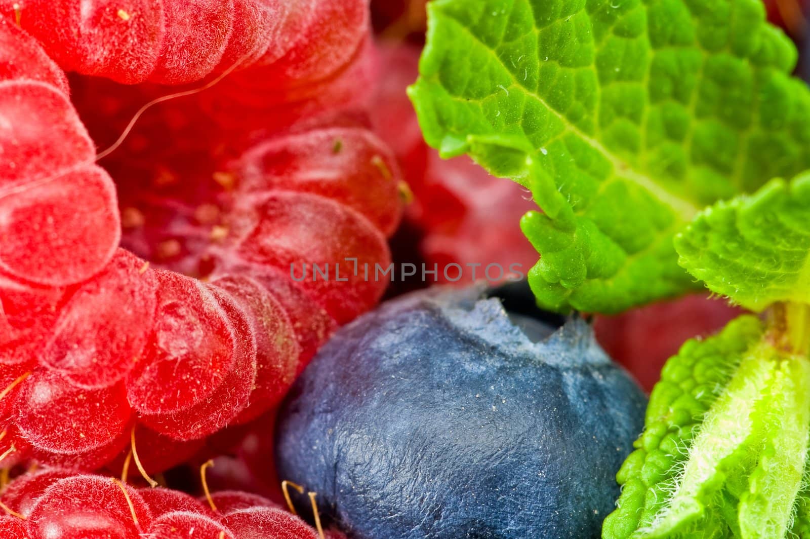 Fresh ripe raspberry and blueberry with green mint leaves 