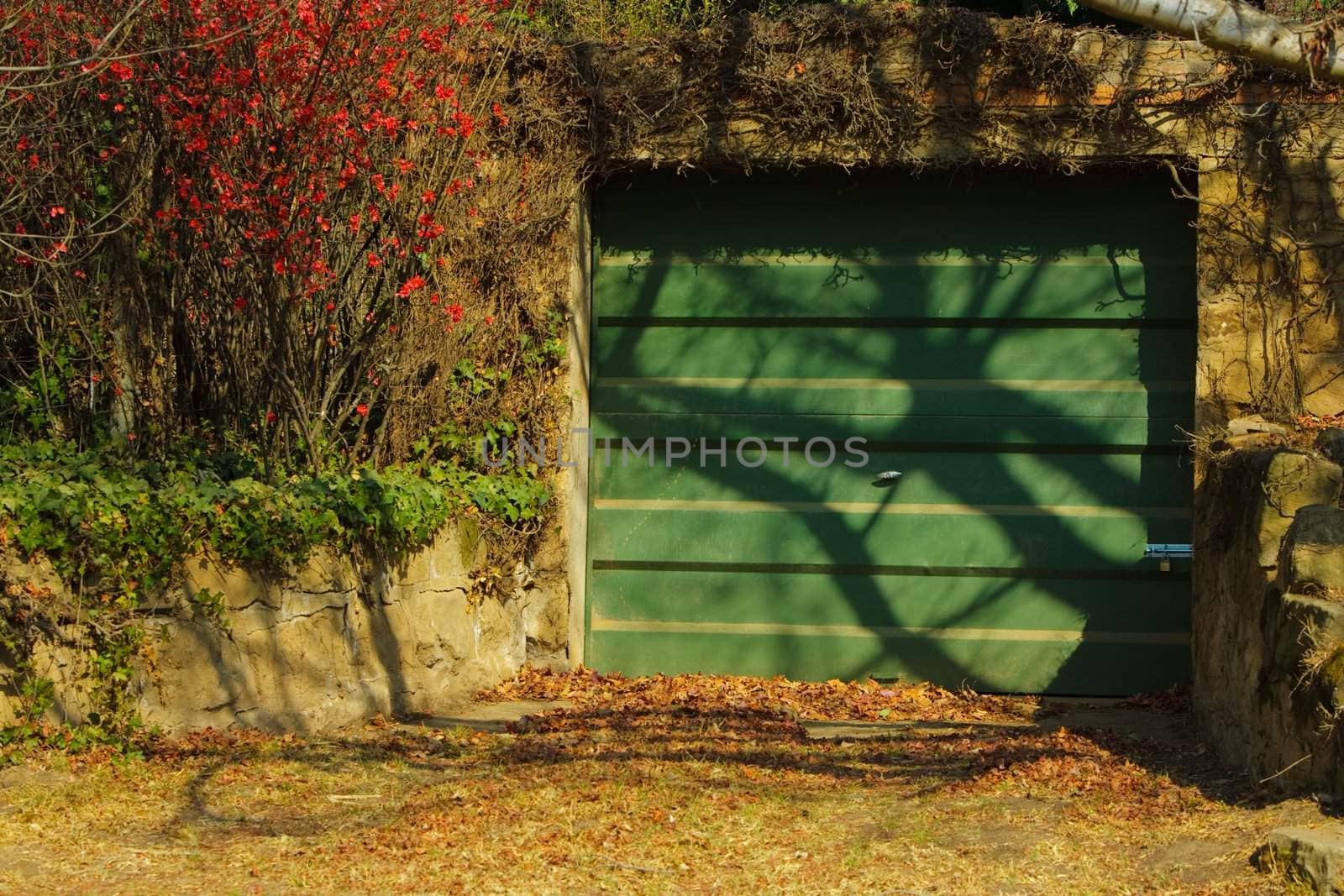 a modern green steel garage door in an old stone wall covered in autumn foliage.
