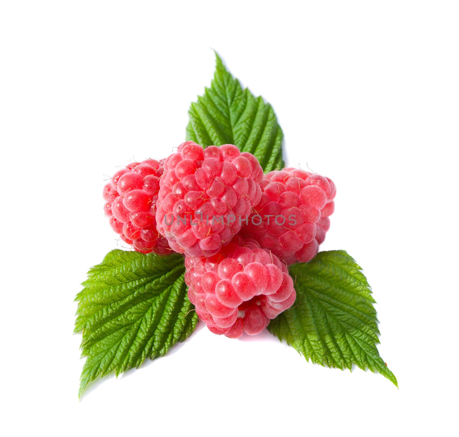 heap of ripe raspberries with leaves, isolated on white