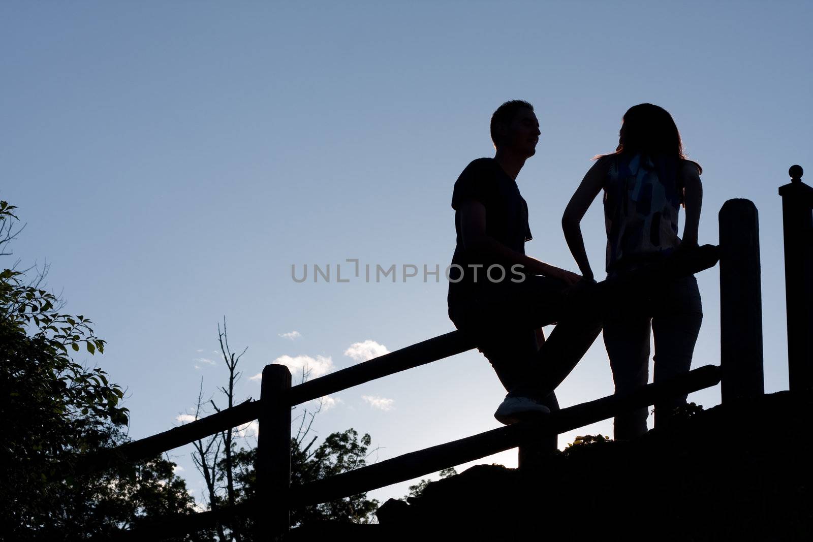 Couple Silhouette by graficallyminded