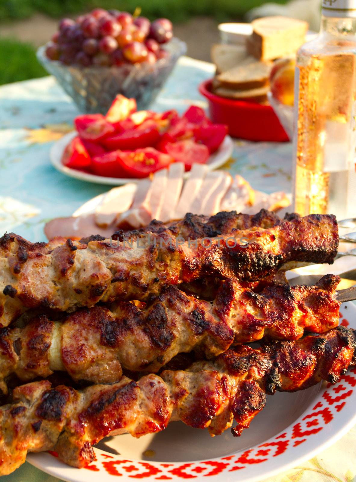 prepared kebab on plate