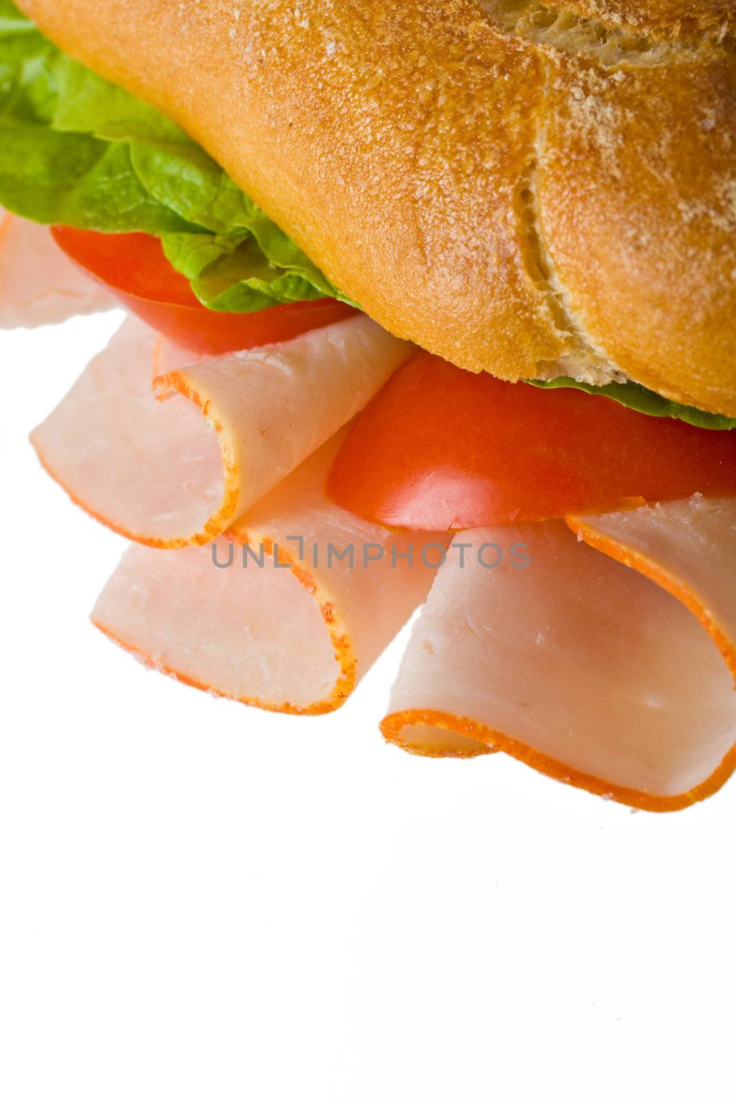 detail of a sandwich