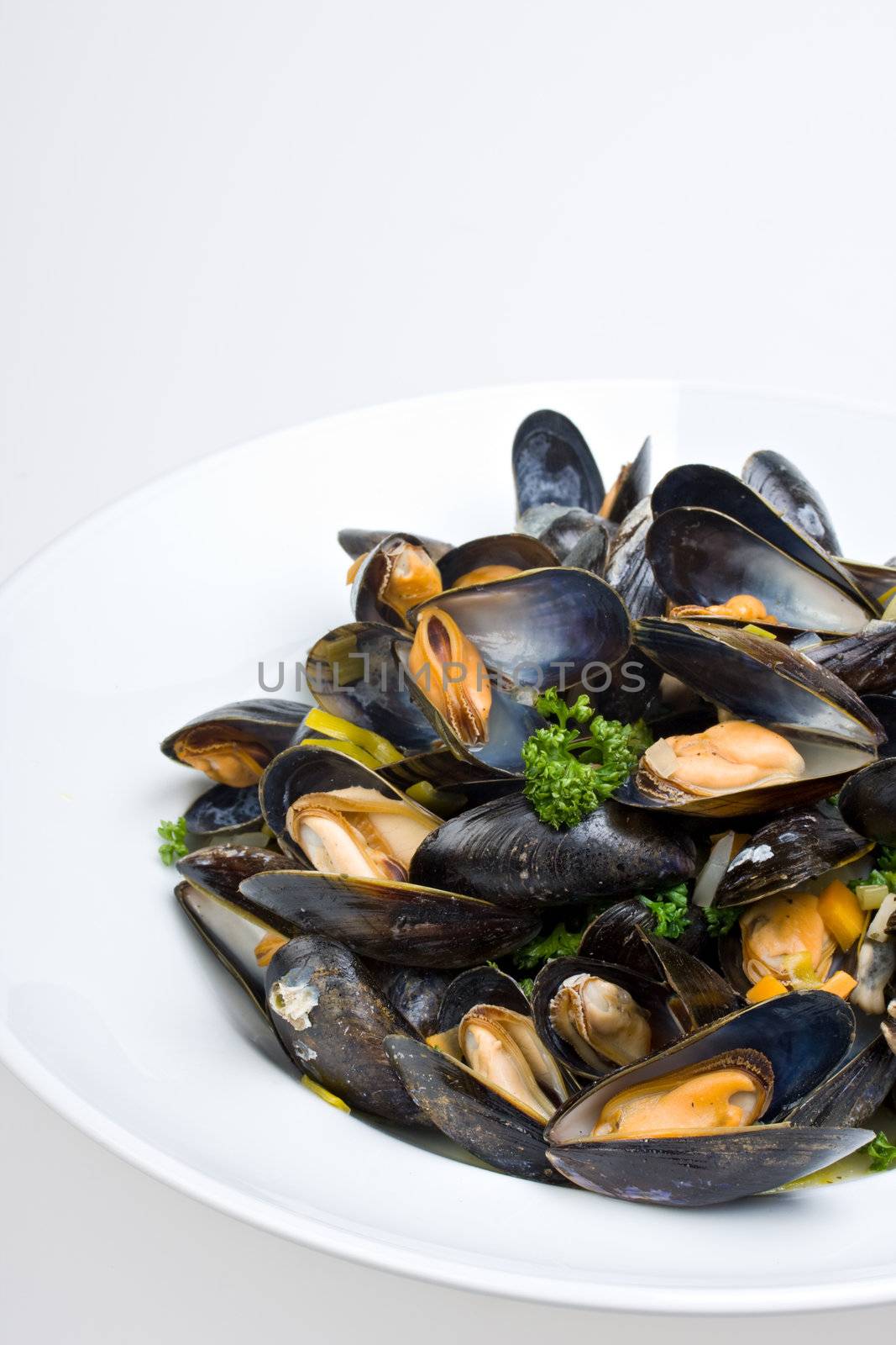 cooked open blue mussels