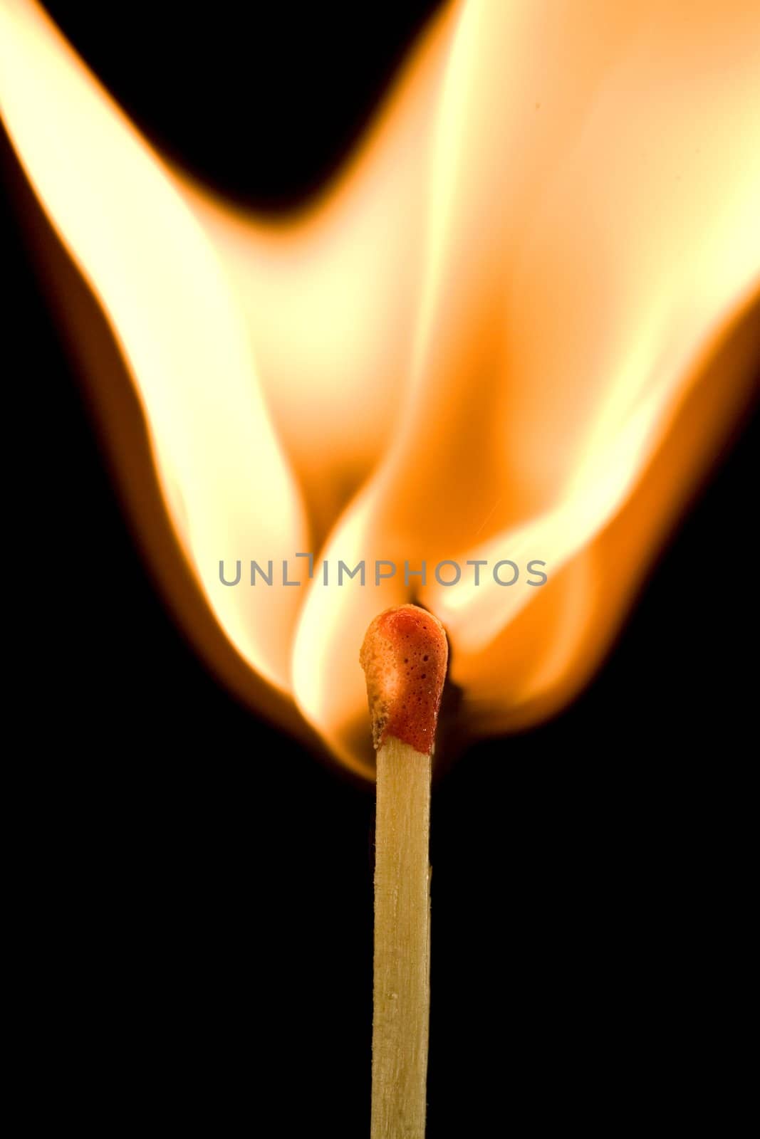 Macro of an ignited matchstick flame in the dark