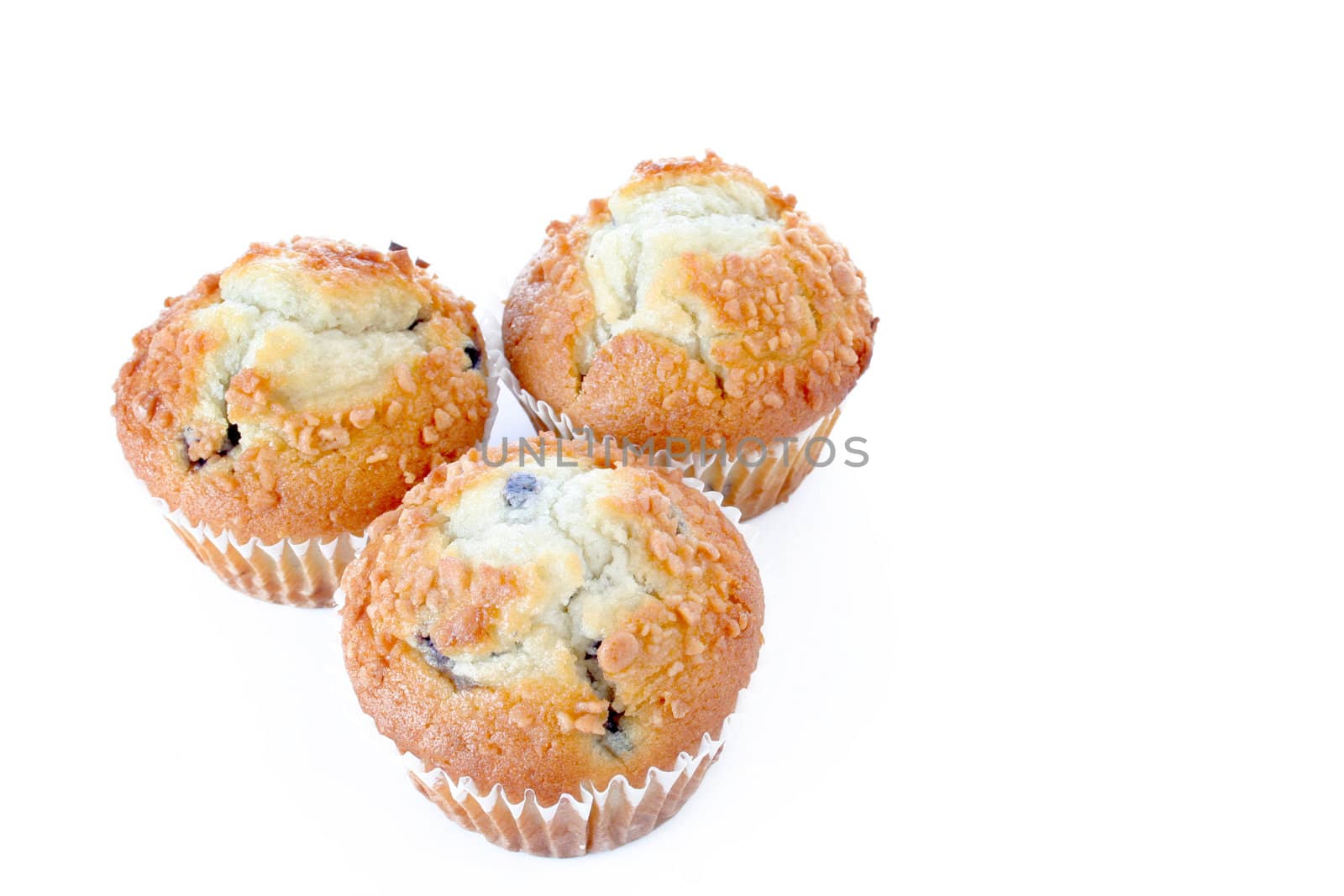 Blueberry muffins isolated on a white background. Copy space available.