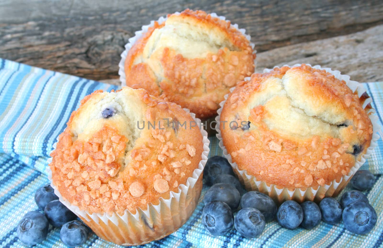 Three blueberry muffins with fresh blueberries.
